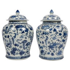 Antique Pair of Chinese Porcelain Blue and White Covered Jars 19th Century Qing Dynasty