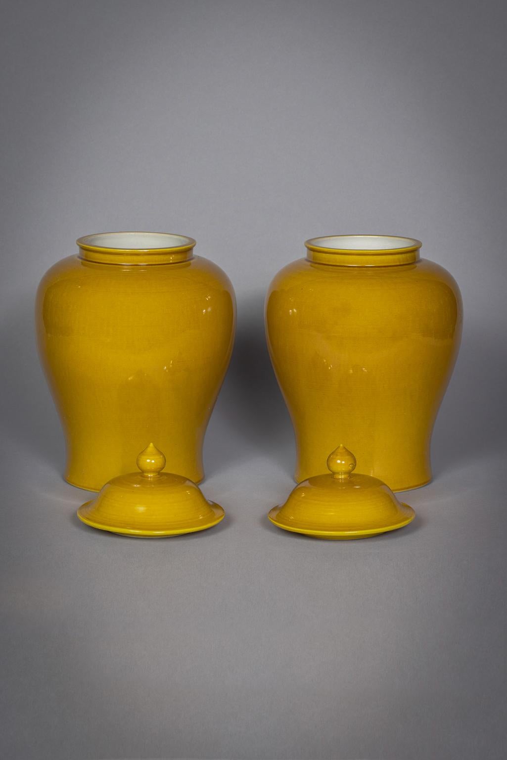 20ième siècle Paire de pots à couvercle en porcelaine de Chine, 20ème siècle en vente