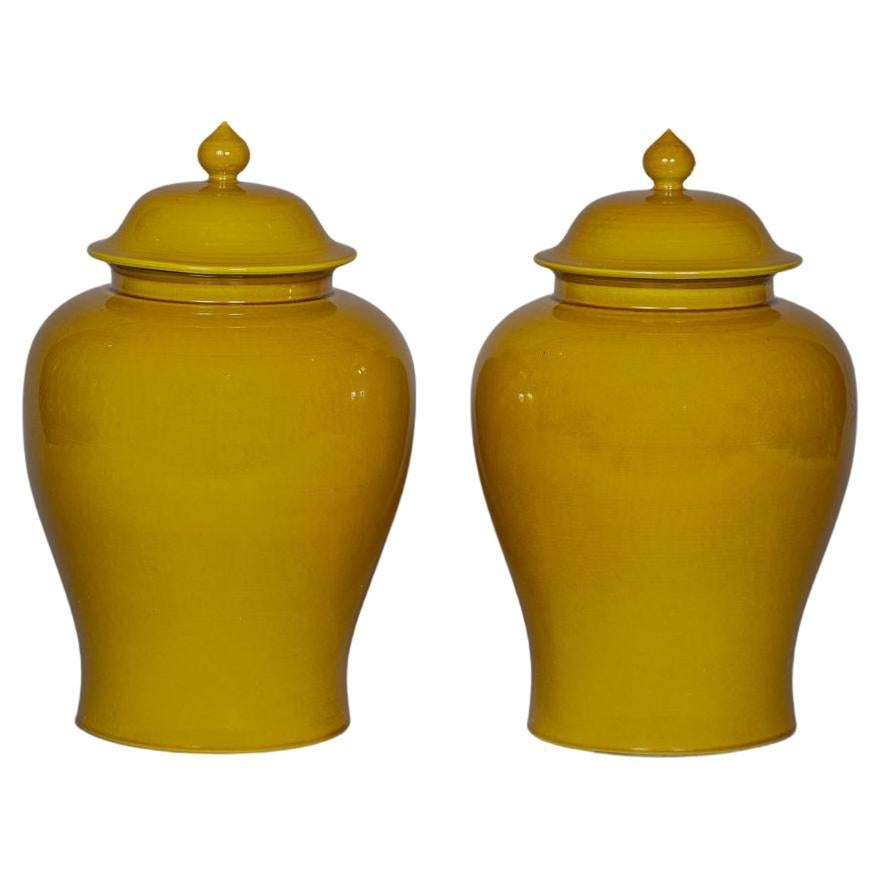 Pair of Chinese Porcelain Covered Jars, 20th Century