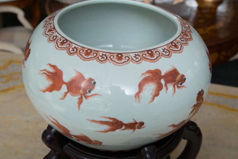 Chinese Porcelain Fish Bowls on Rosewood Stands at 1stDibs