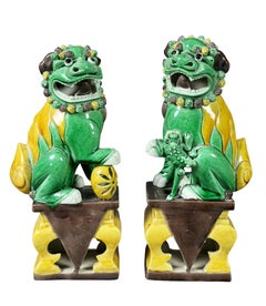 Pair of Chinese Porcelain Foo Dogs