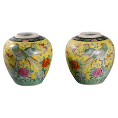 Paire de jarres en porcelaine chinoise, 19e siècle