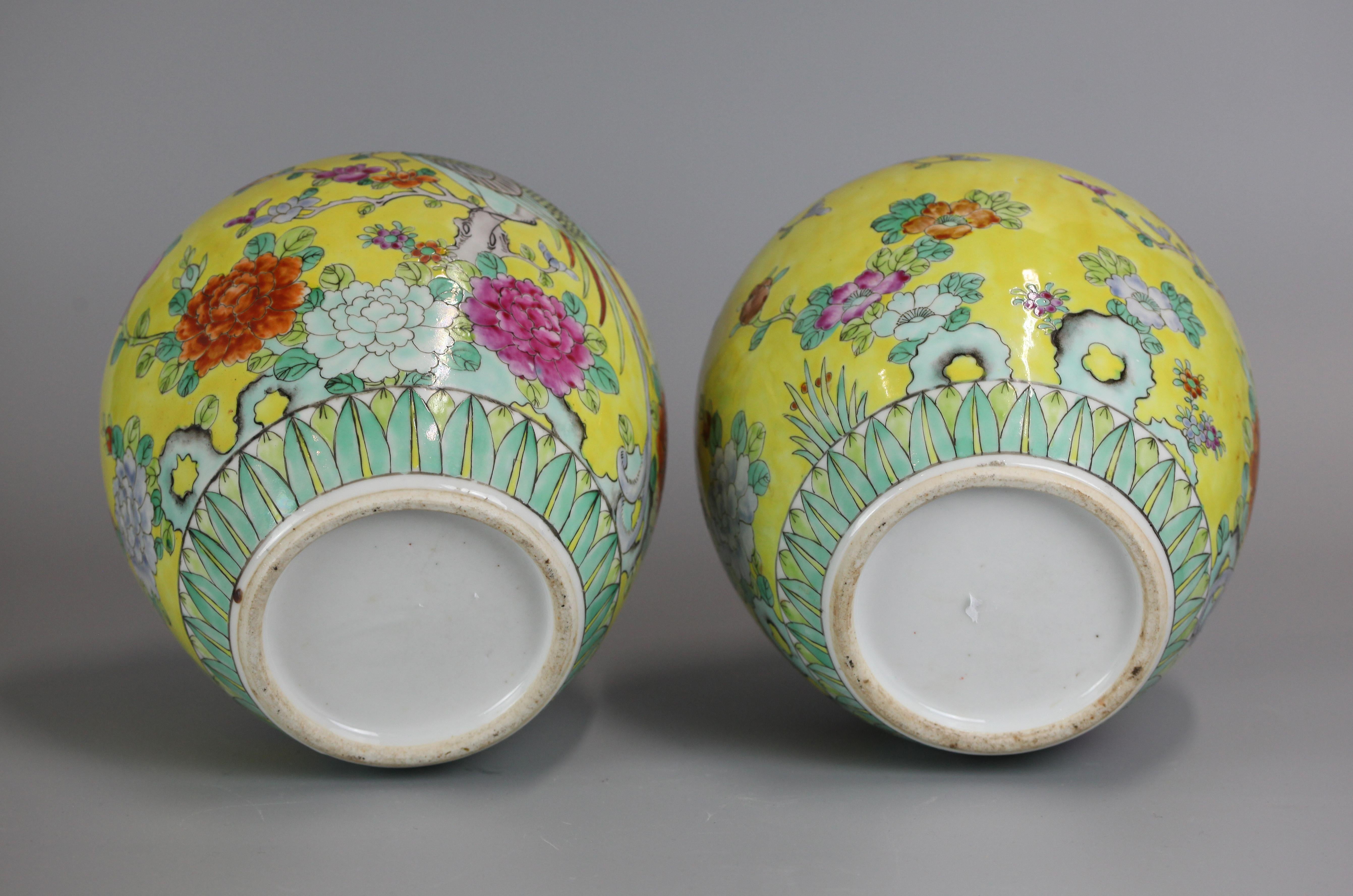 jarras de porcelana decoradas con pájaros y flores sobre fondo amarillo

