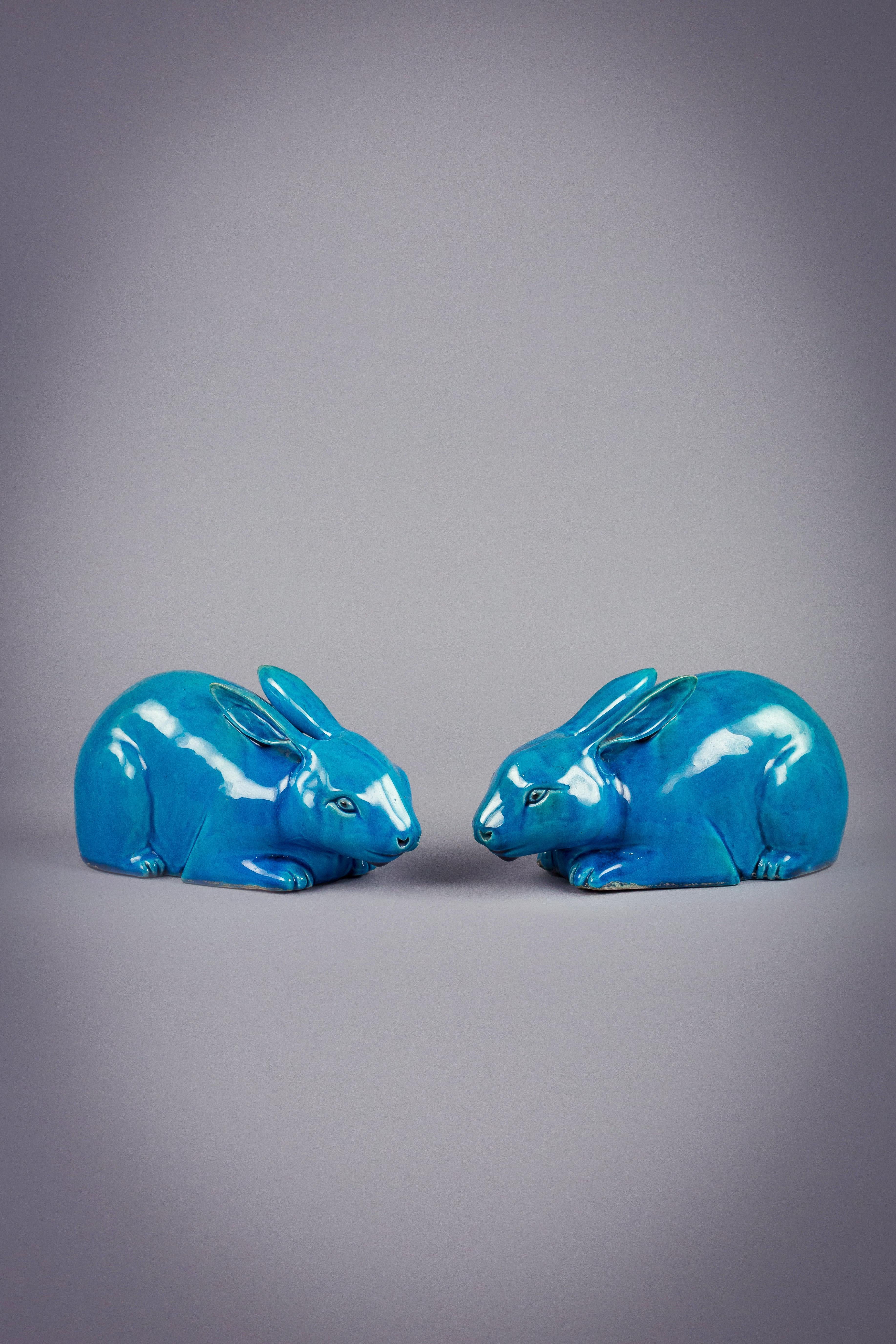 turquoise rabbit