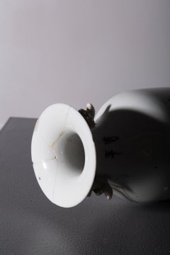 Pair of Chinese porcelain vases