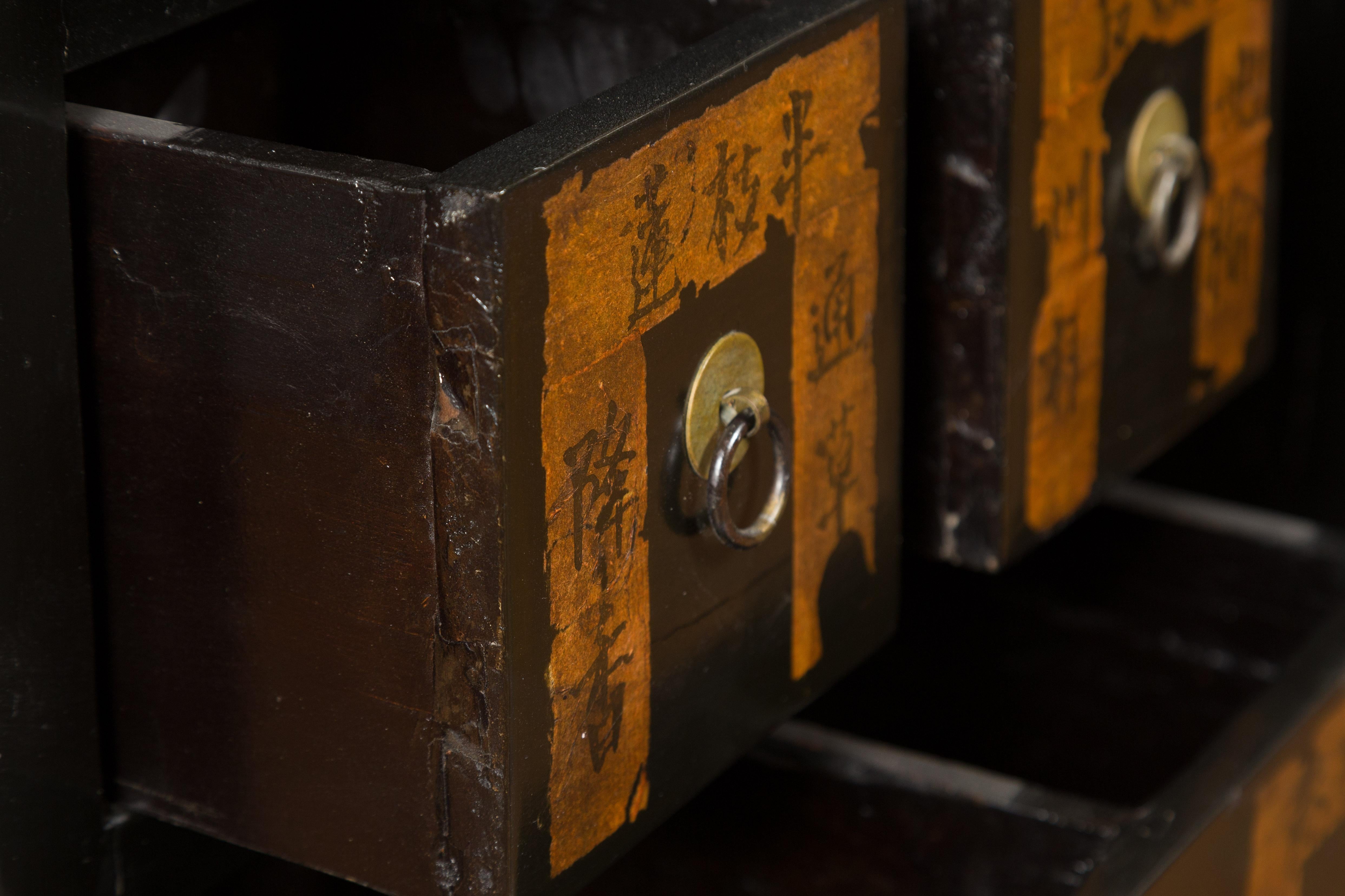 Pair of Chinese Qing Dynasty Black Lacquer Apothecary Cabinets with Calligraphy For Sale 8