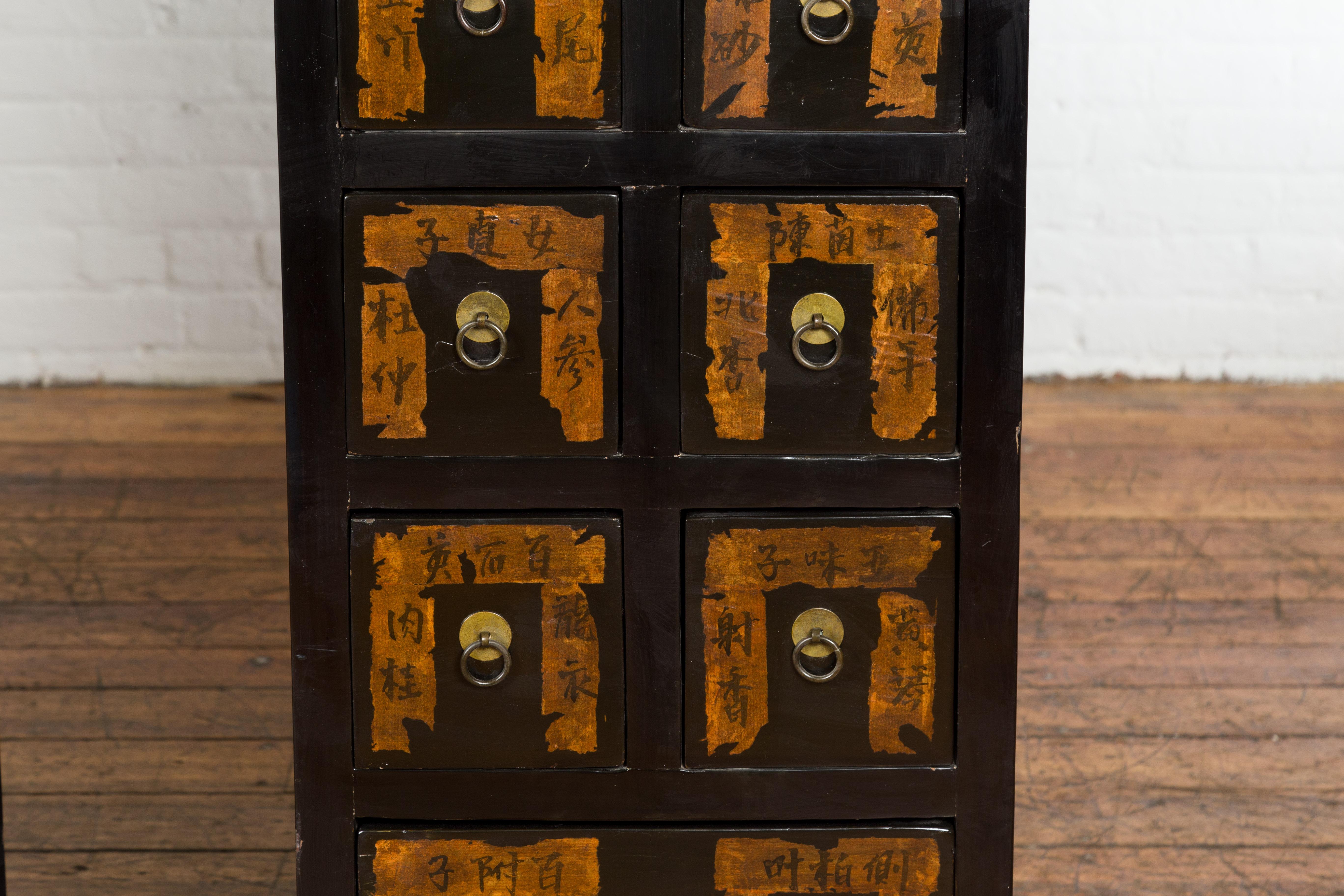 19th Century Pair of Chinese Qing Dynasty Black Lacquer Apothecary Cabinets with Calligraphy For Sale