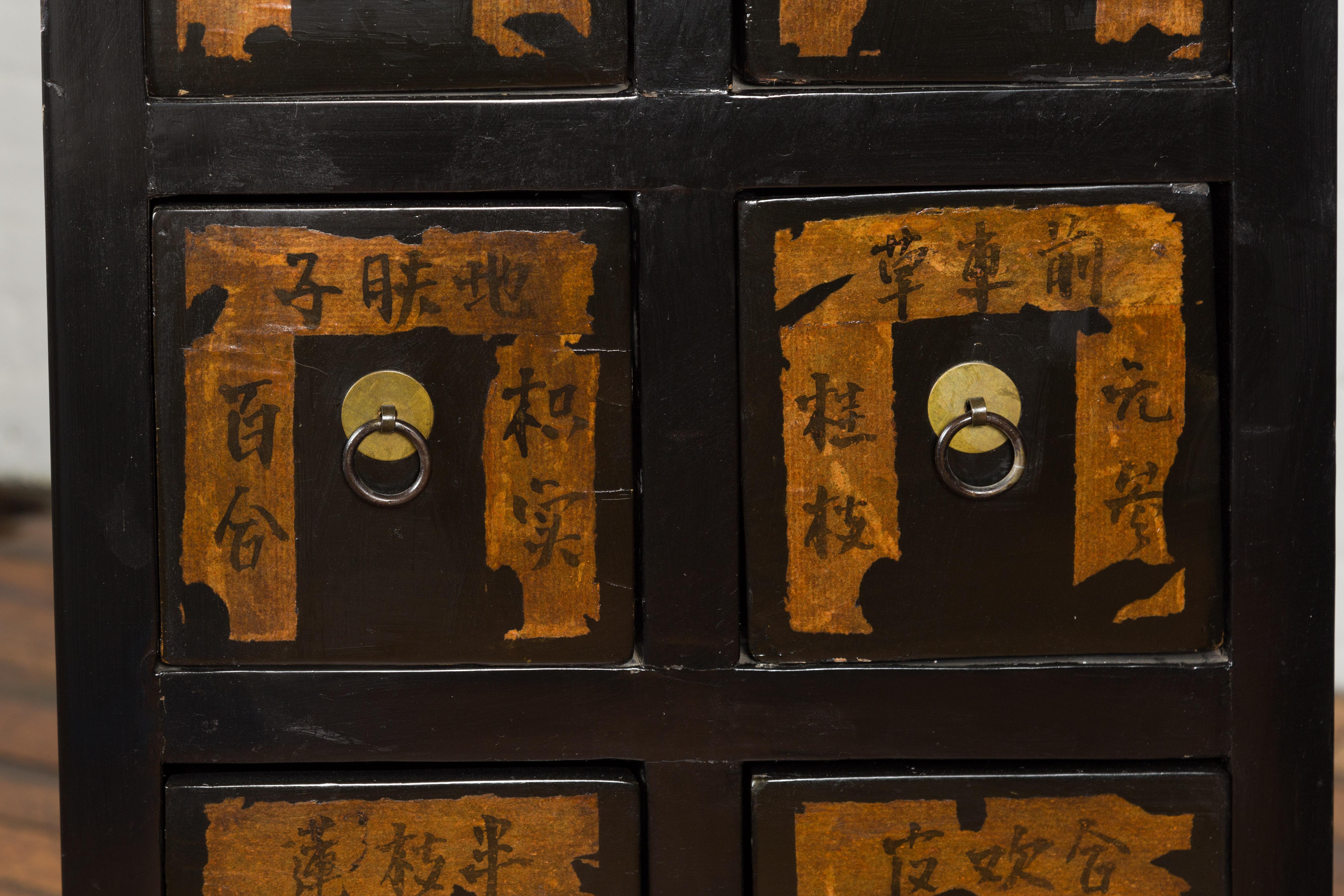Pair of Chinese Qing Dynasty Black Lacquer Apothecary Cabinets with Calligraphy For Sale 3
