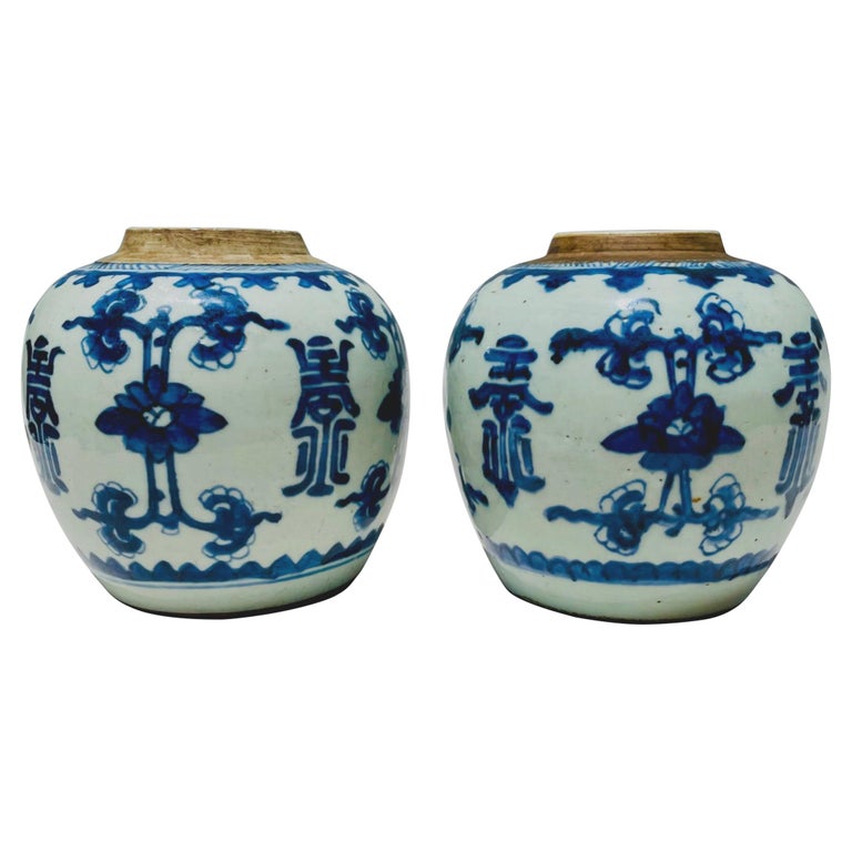 Pair of Chinese Qing Kangxi Blue & White Shou Ginger Jars, 18th Century For Sale