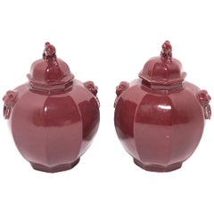 Pair of Chinese Shizi Hong Ginger Jars