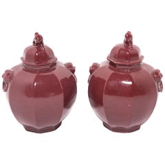 Pair of Chinese Shizi Hong Ginger Jars