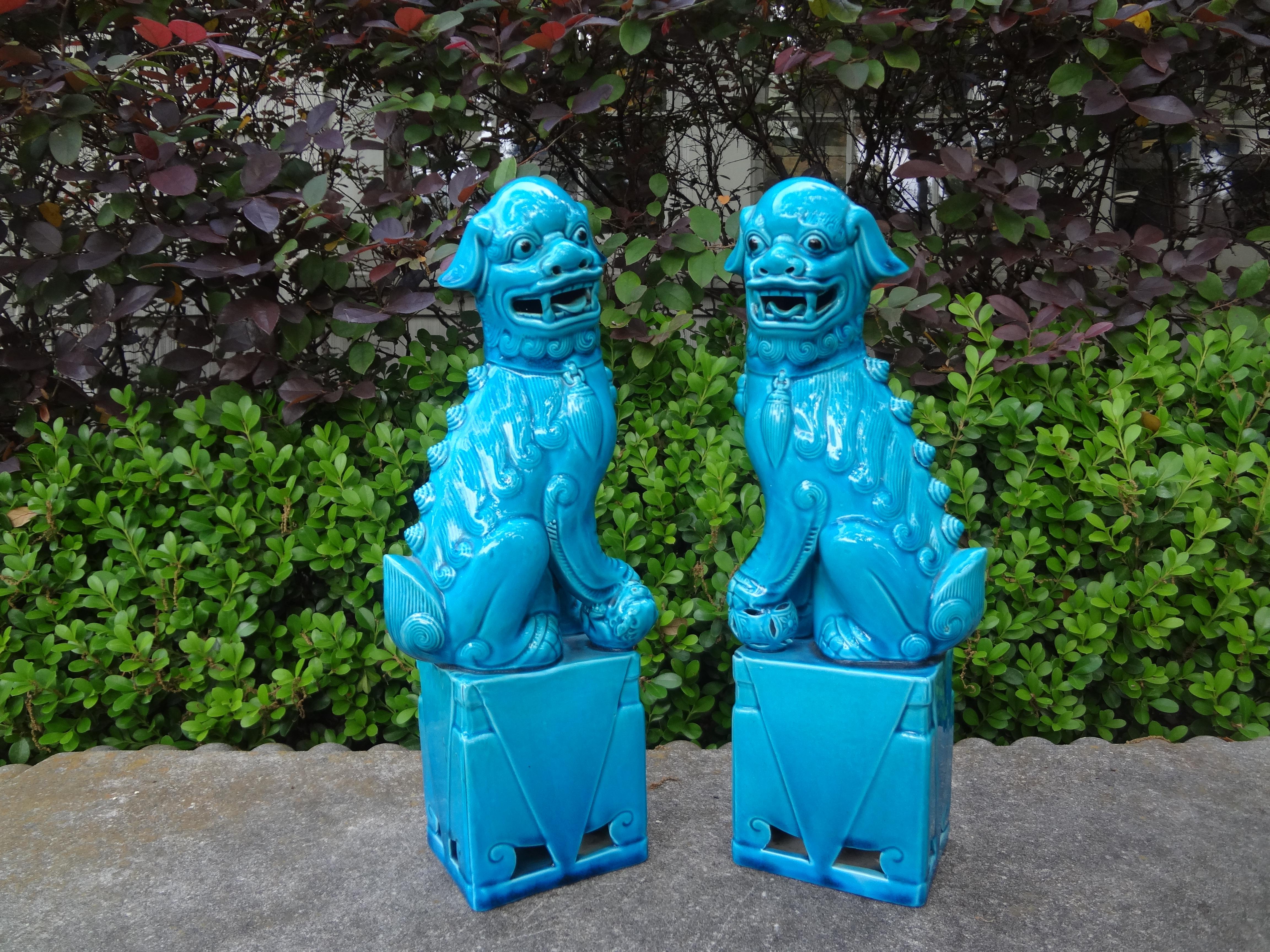 Pair Of Chinese Turquoise Glazed Porcelain Foo Dogs.
A large pair of Chinese turquoise glazed foo dogs dating from the first half of the 20th century. This lovely pair of glazed porcelain foo dogs are mounted on raised plinths.
A true pair each