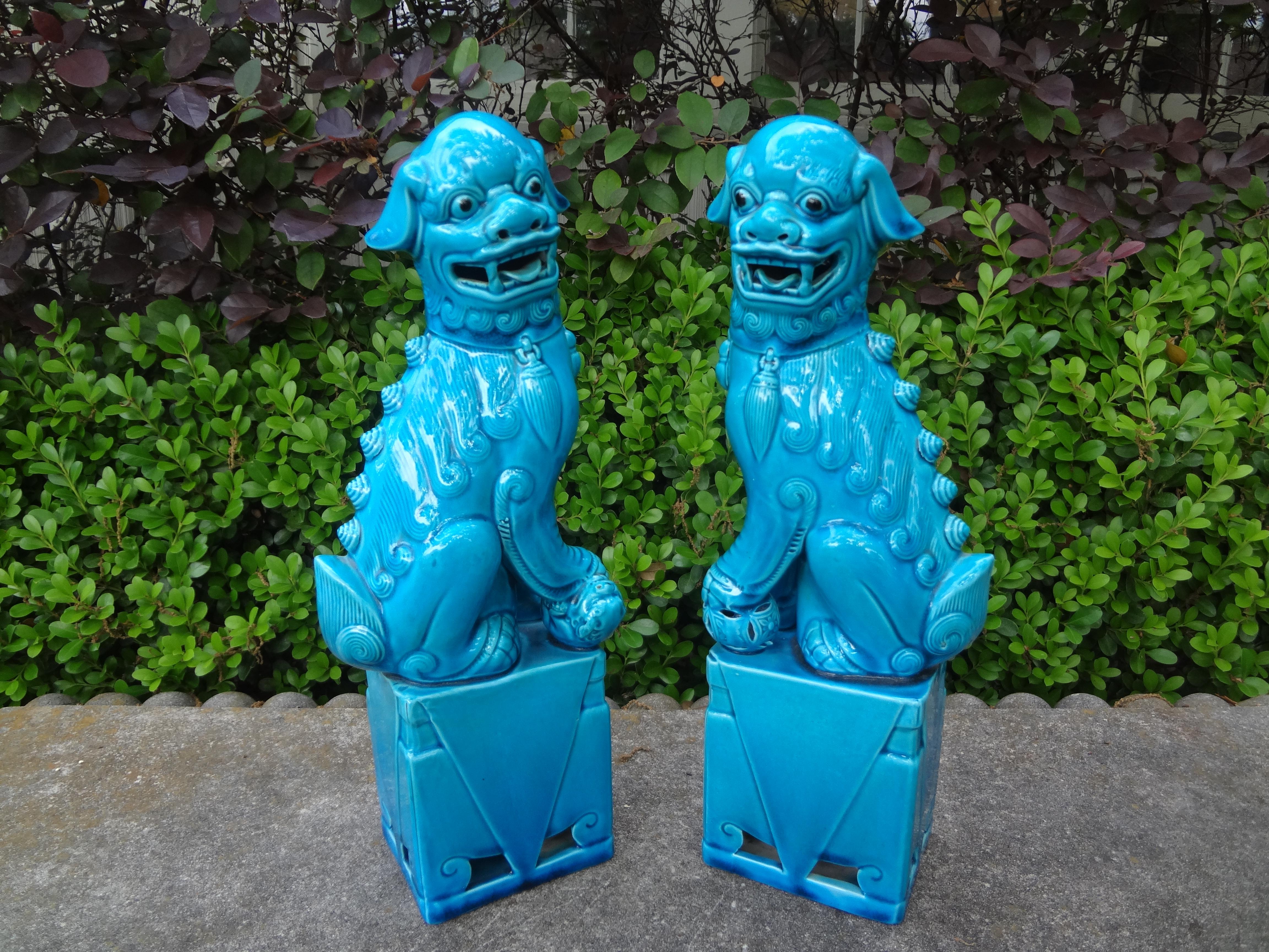 Chinese Export Pair Of Chinese Turquoise Glazed Porcelain Foo Dogs For Sale