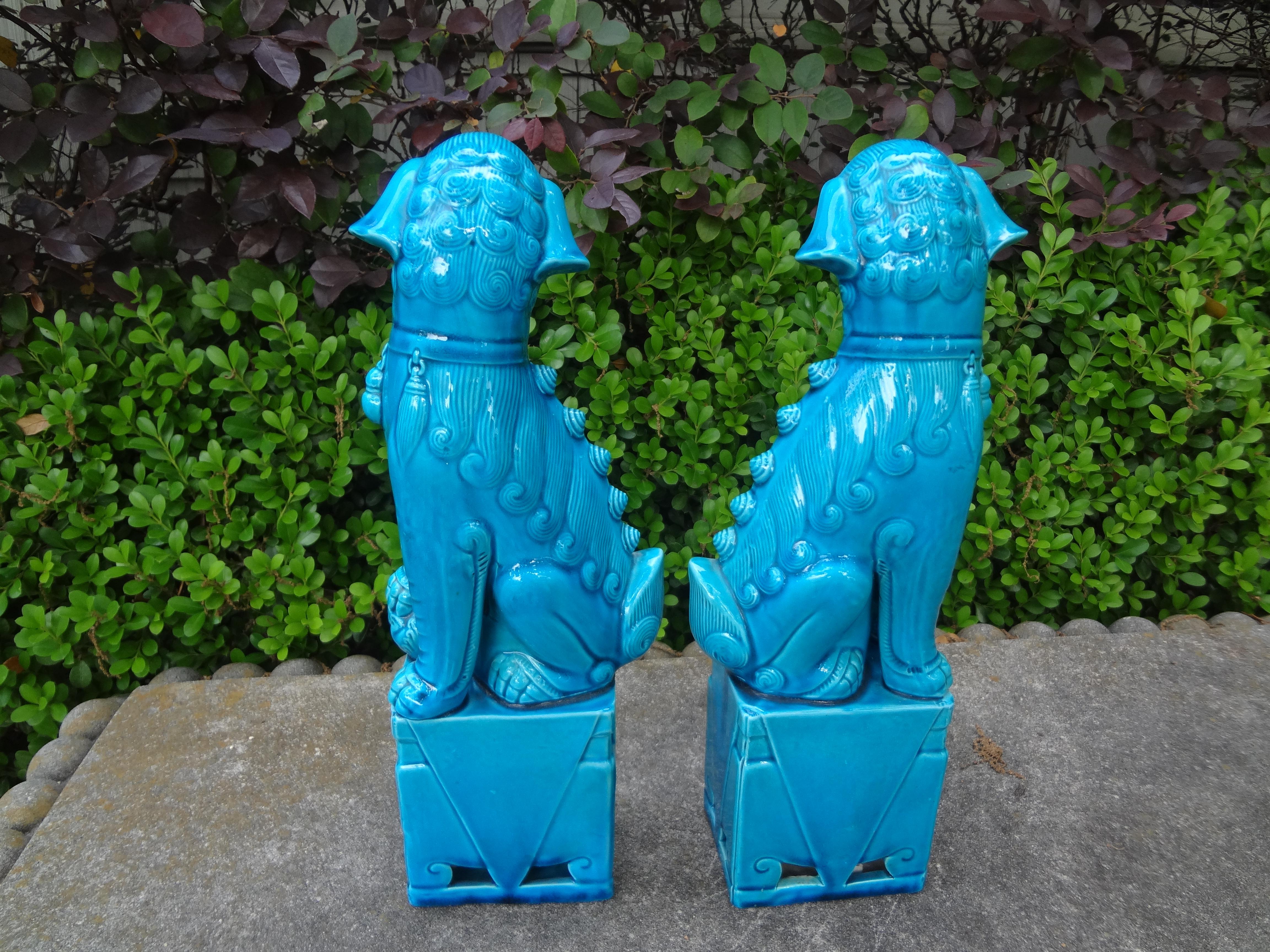 Paar chinesische türkis glasierte Foo-Hunde aus Porzellan (Mitte des 20. Jahrhunderts) im Angebot