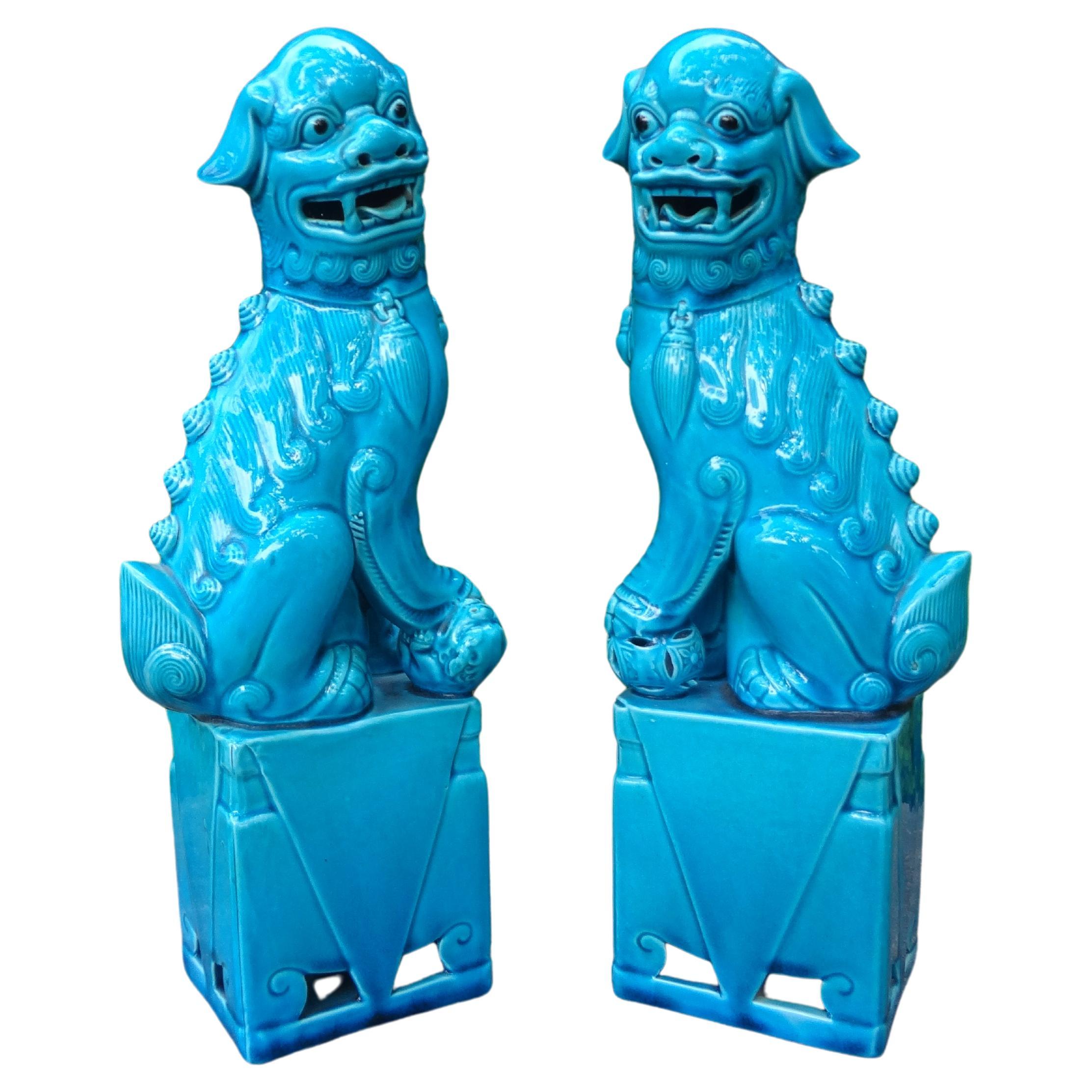 Paire de chiens Foo chinois en porcelaine émaillée turquoise