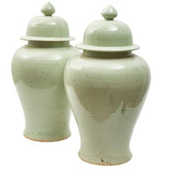 Pair of Chinese White Glaze Porcelain Temple Jars and Covers, 20th Century