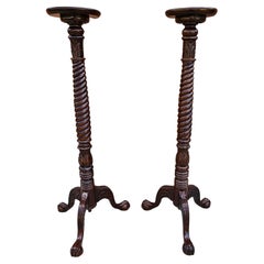 Pair of Chippendale Style Carved and Stained Mahogany Stands with Ball Claw Feet