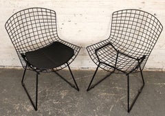 Pair of Chrome Wire Dining Chairs in the Style of Bertoia for Knoll