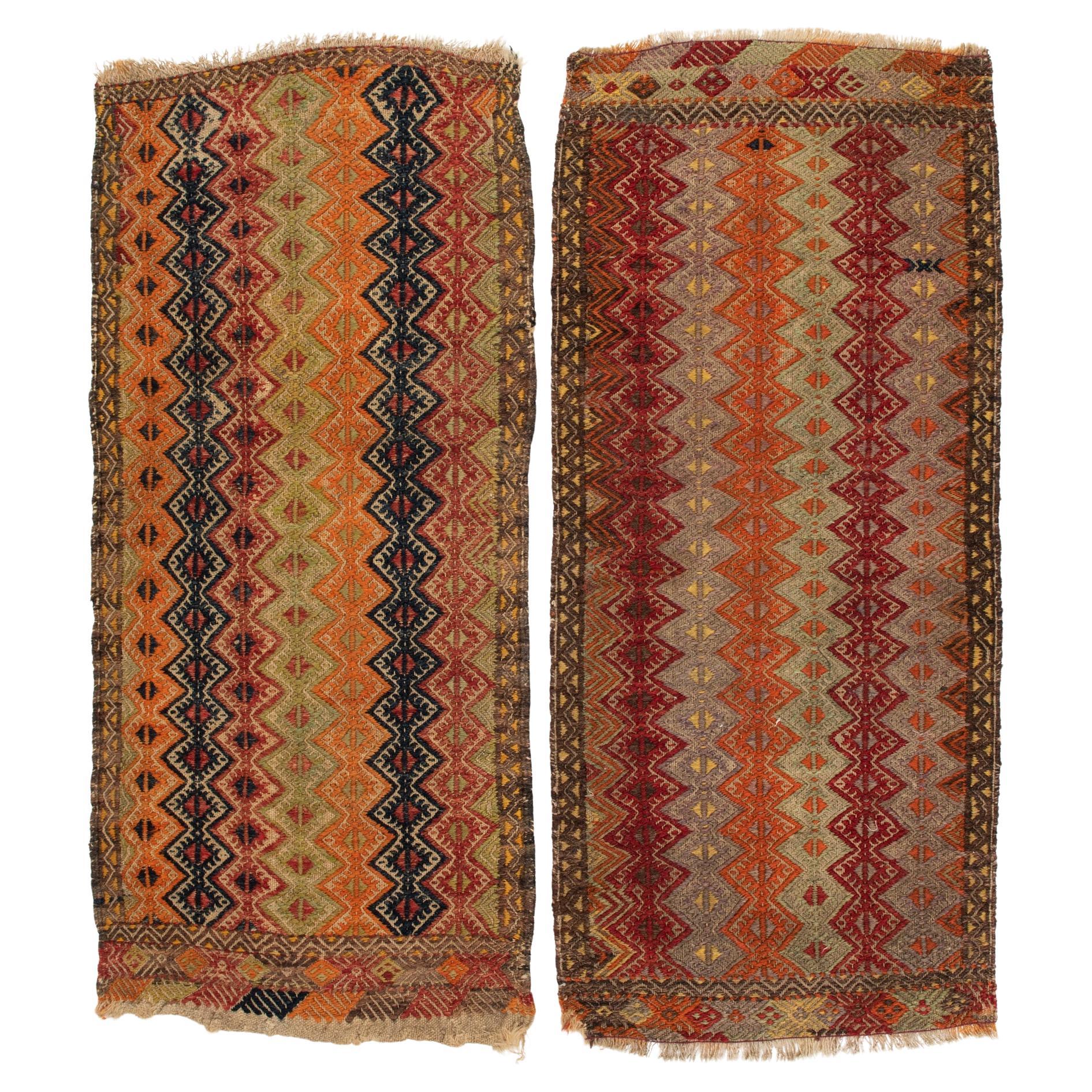 Pair of "Cicim" ANATOLIA
