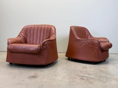 Coppia di sedie "Ciprea" di Afra & Tobia Scarpa per Cassina