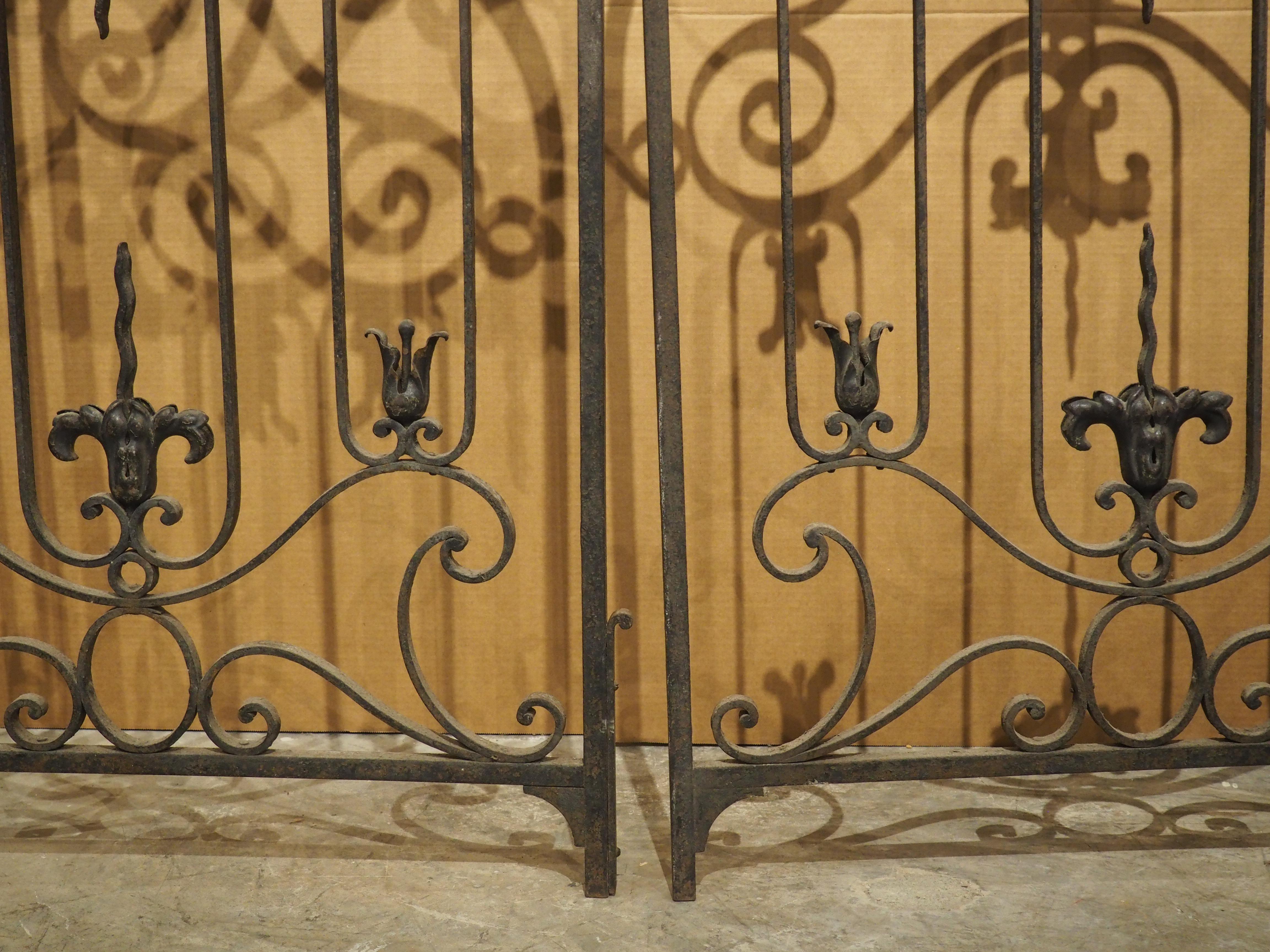 Pair of Circa 1800 French Wrought Iron and Tole Gates 7