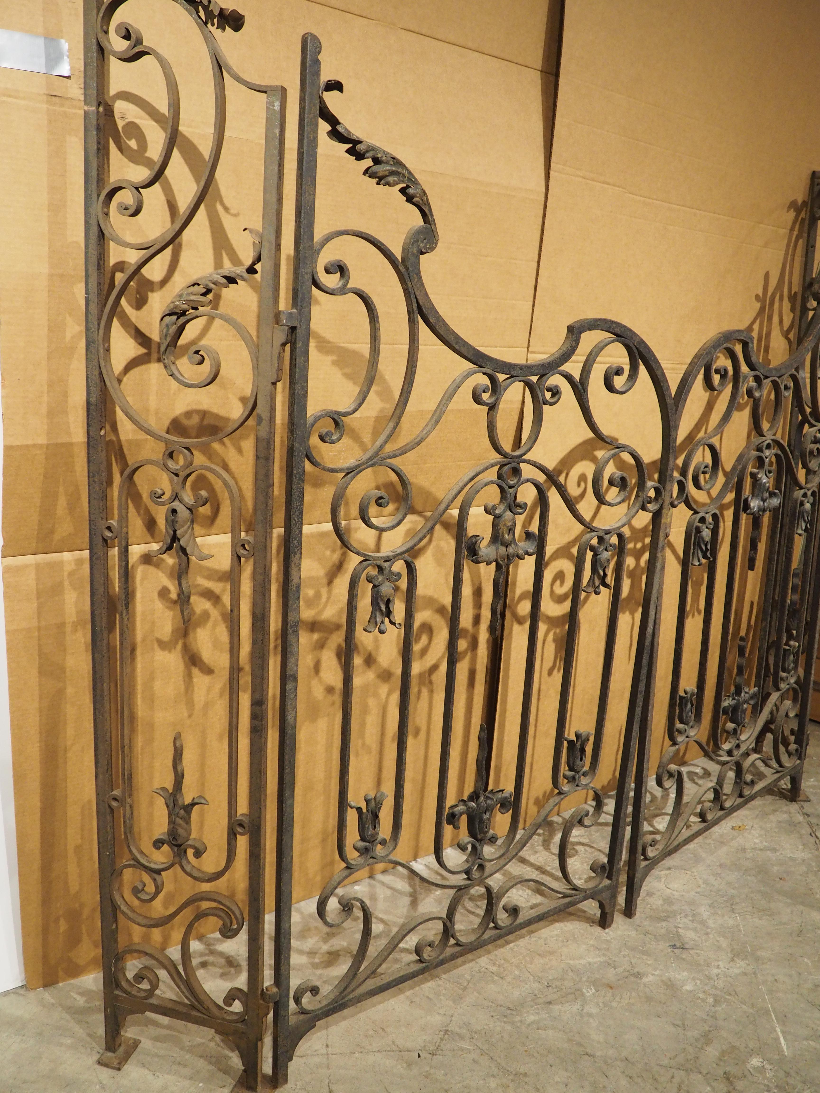 19th Century Pair of Circa 1800 French Wrought Iron and Tole Gates