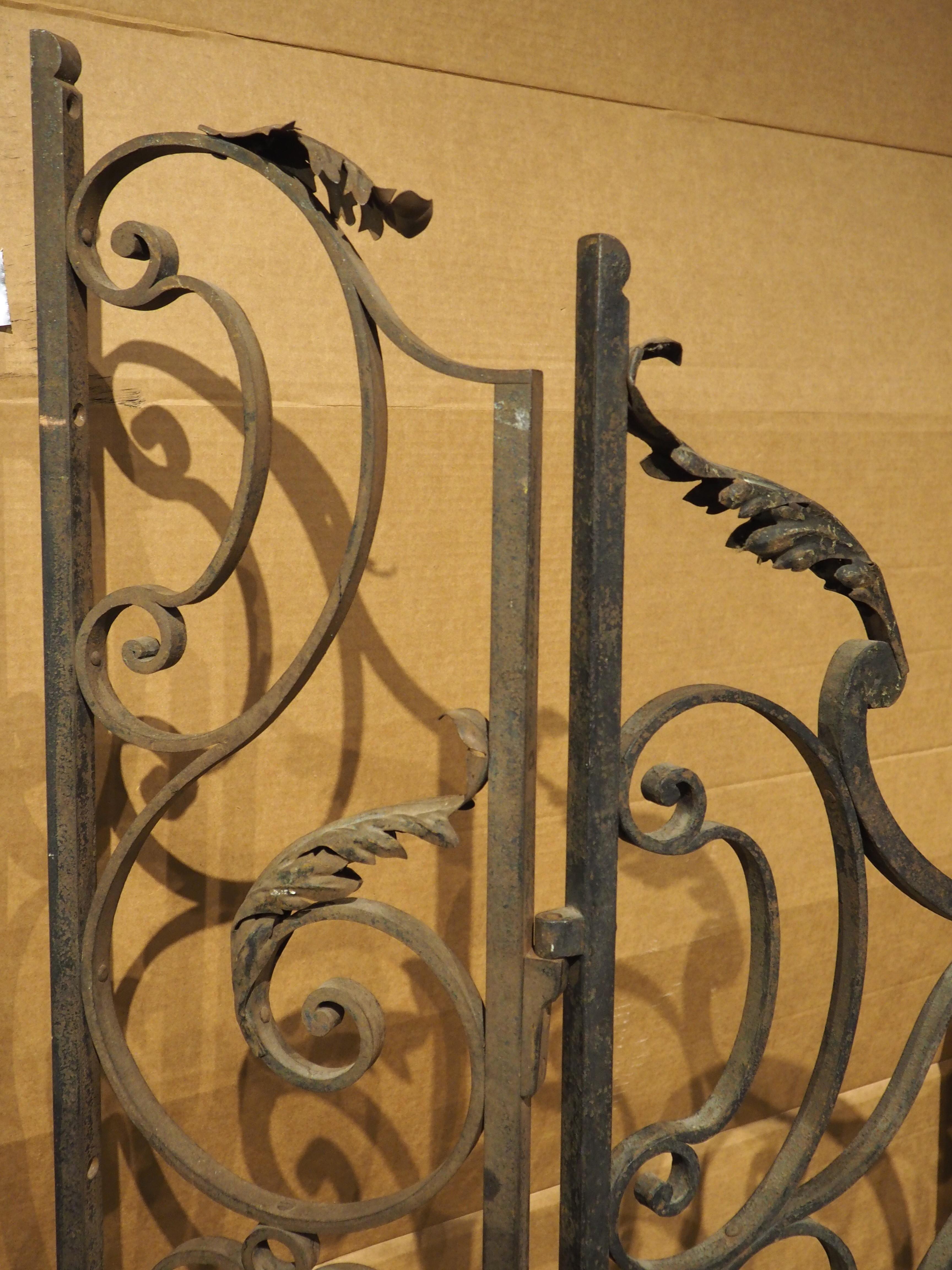 Pair of Circa 1800 French Wrought Iron and Tole Gates 1