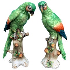 Pair of  Circa 1880s Edme Samson French Glazed Porcelain Parrots on Trunks