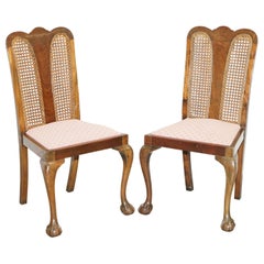 Coppia di sedie occasionali in bergere e legno duro fiammato degli anni '40 circa, con piedi a zampa di gallina e a sfera