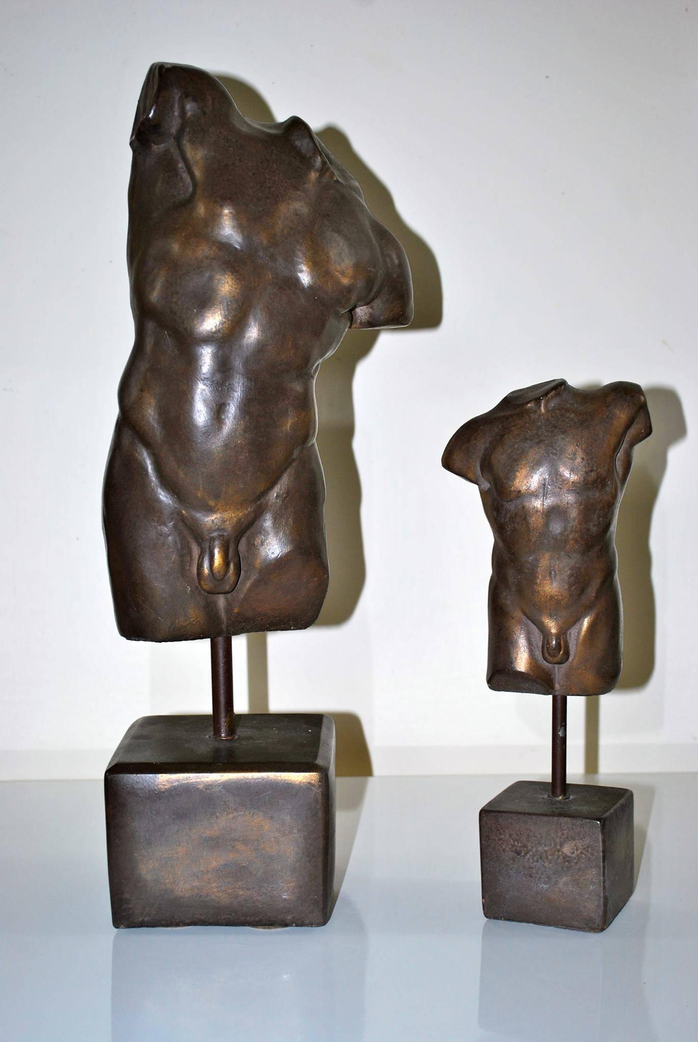 Pair of Classical bronze male torso sculptures, midcentury.
Measures: 47 cm and 29cm high.