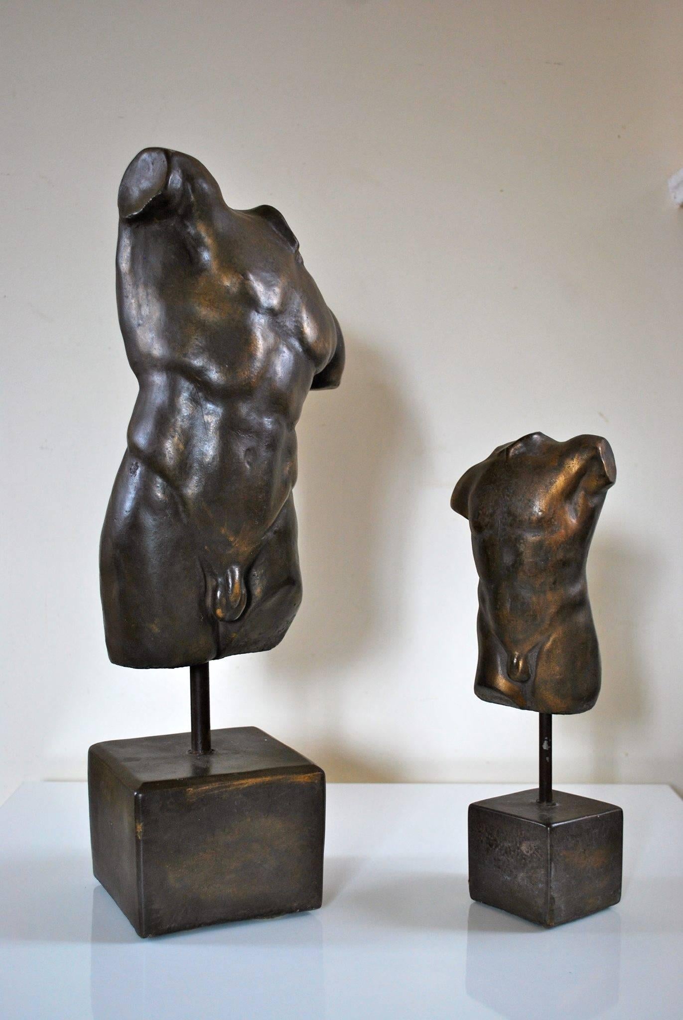 20th Century Pair of Classical Bronze Male Torso Sculptures For Sale