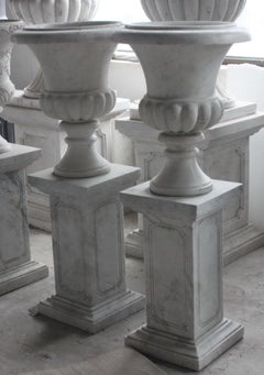 Pair of Classical Style Marble Urns on Plinths