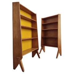 Pair of Claude Vassal Shelves - French 1950s