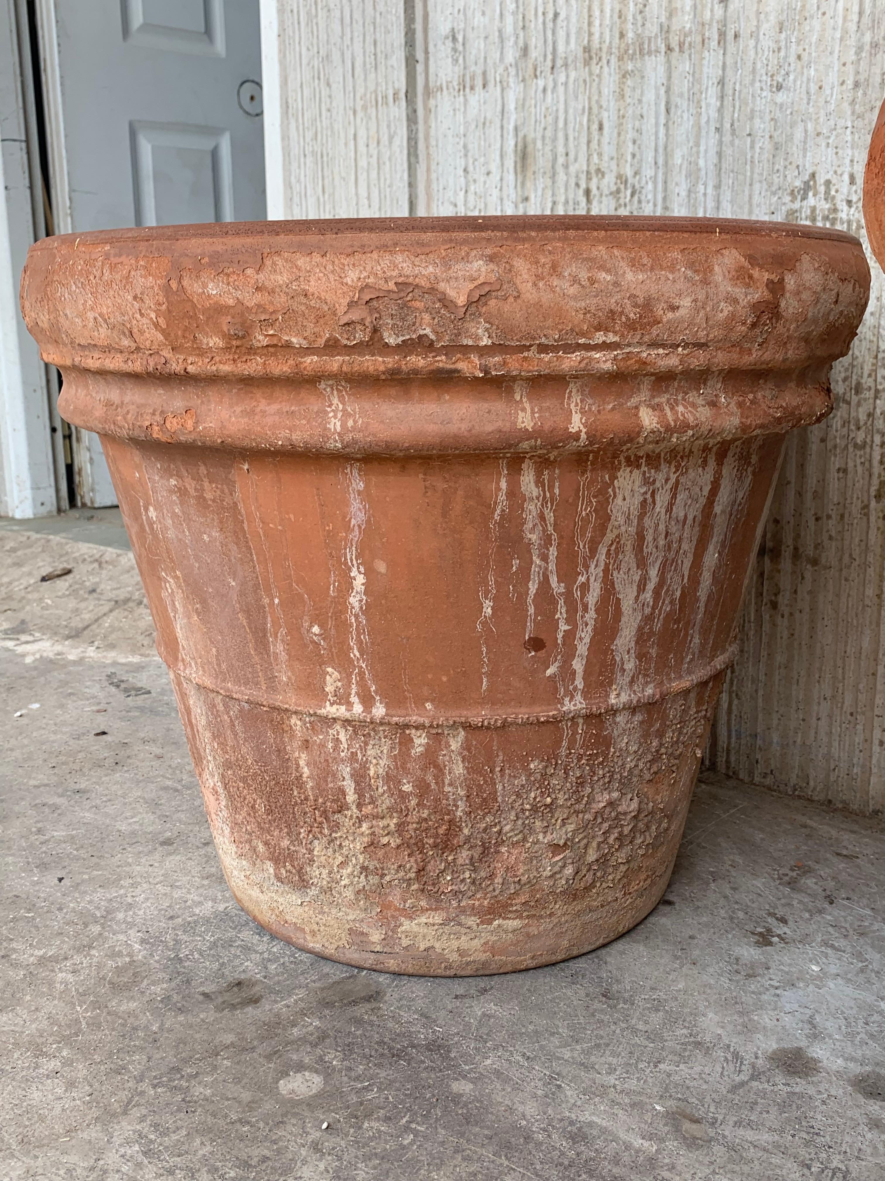 20th Century Pair of Clay Planters from Spain For Sale