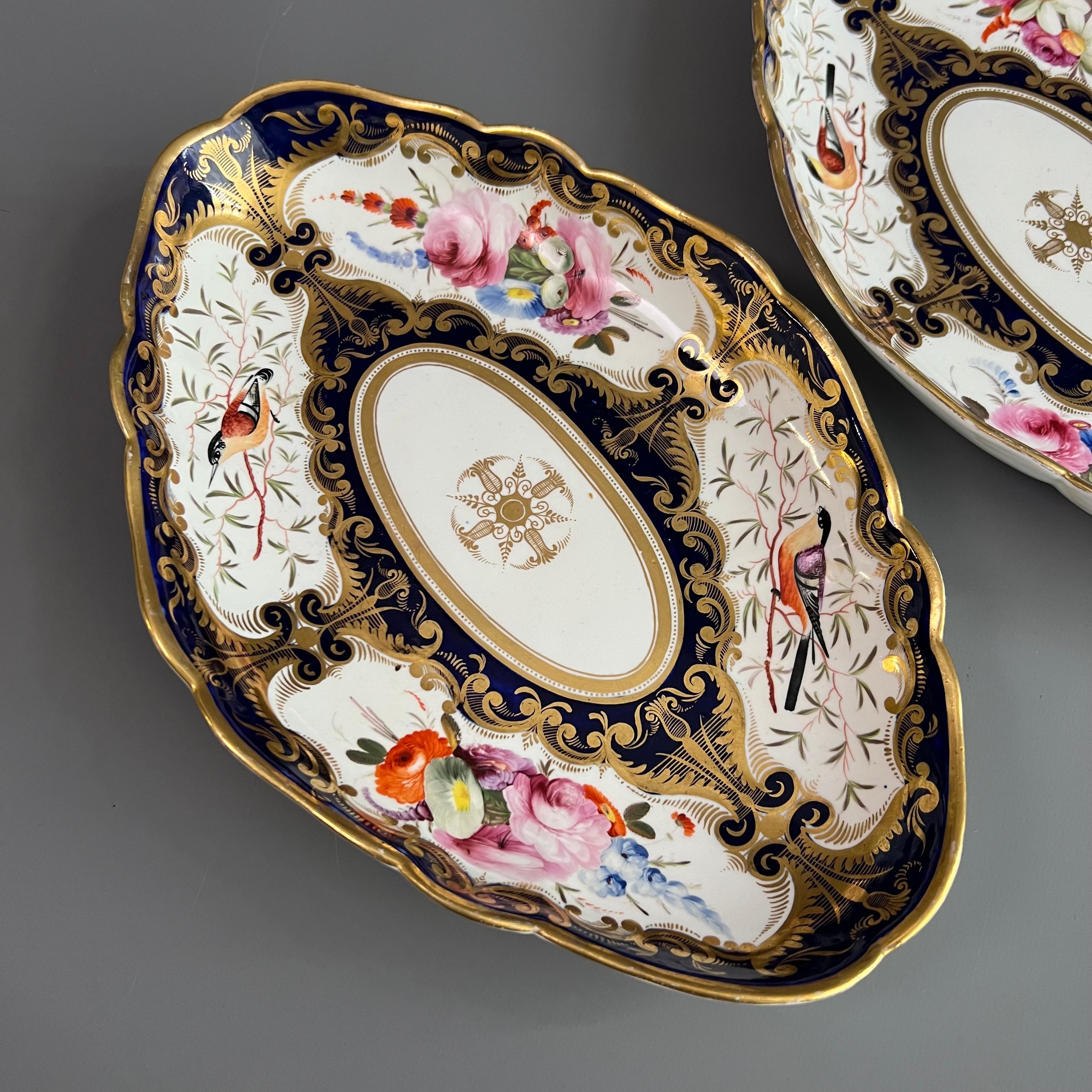 This is a spectacular pair of oval dishes made by Coalport between 1815 and 1820. The dishes bear the famous and very wonderful bird pattern with the number 759. Panels with stunning hand painted birds and flowers are set in a cobalt blue background