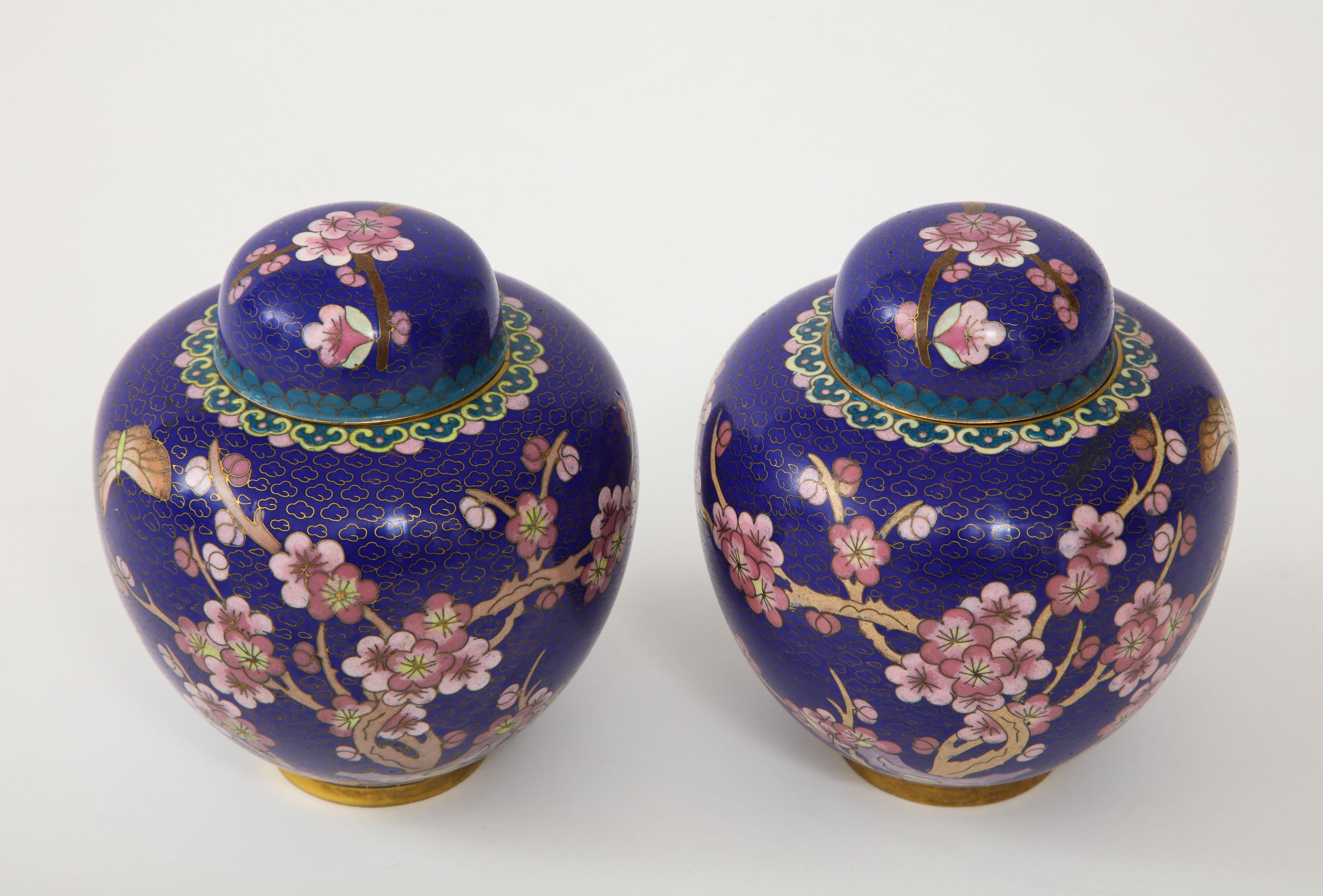 Midcentury pair of cobalt blue cloisonné ginger jars decorated with pale pink cherry blossom branches. Mint condition. On display at 200 Lexington Ave, 10th floor.