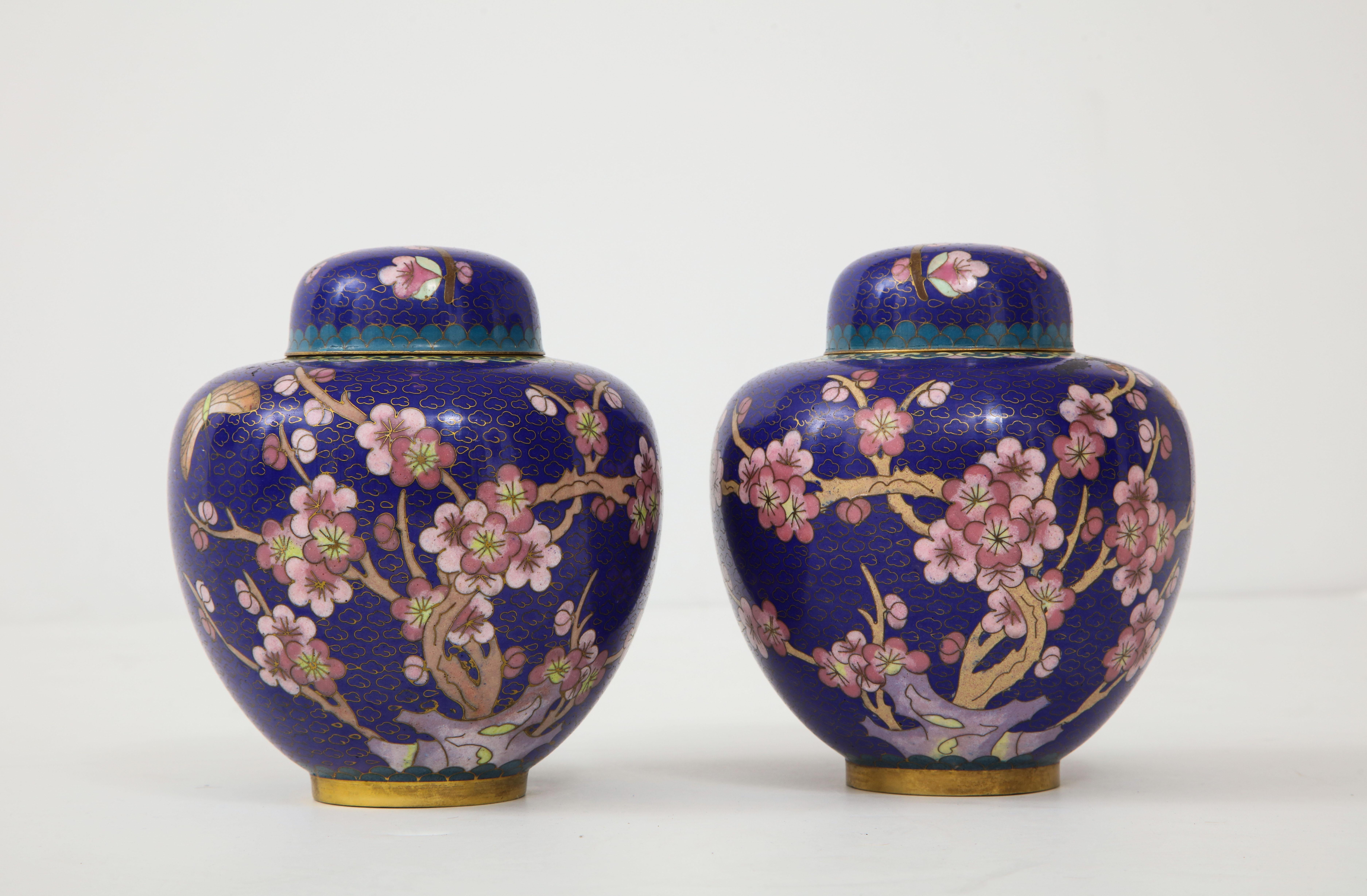 Chinoiserie Pair of Cobalt Cloisonné Ginger Jars