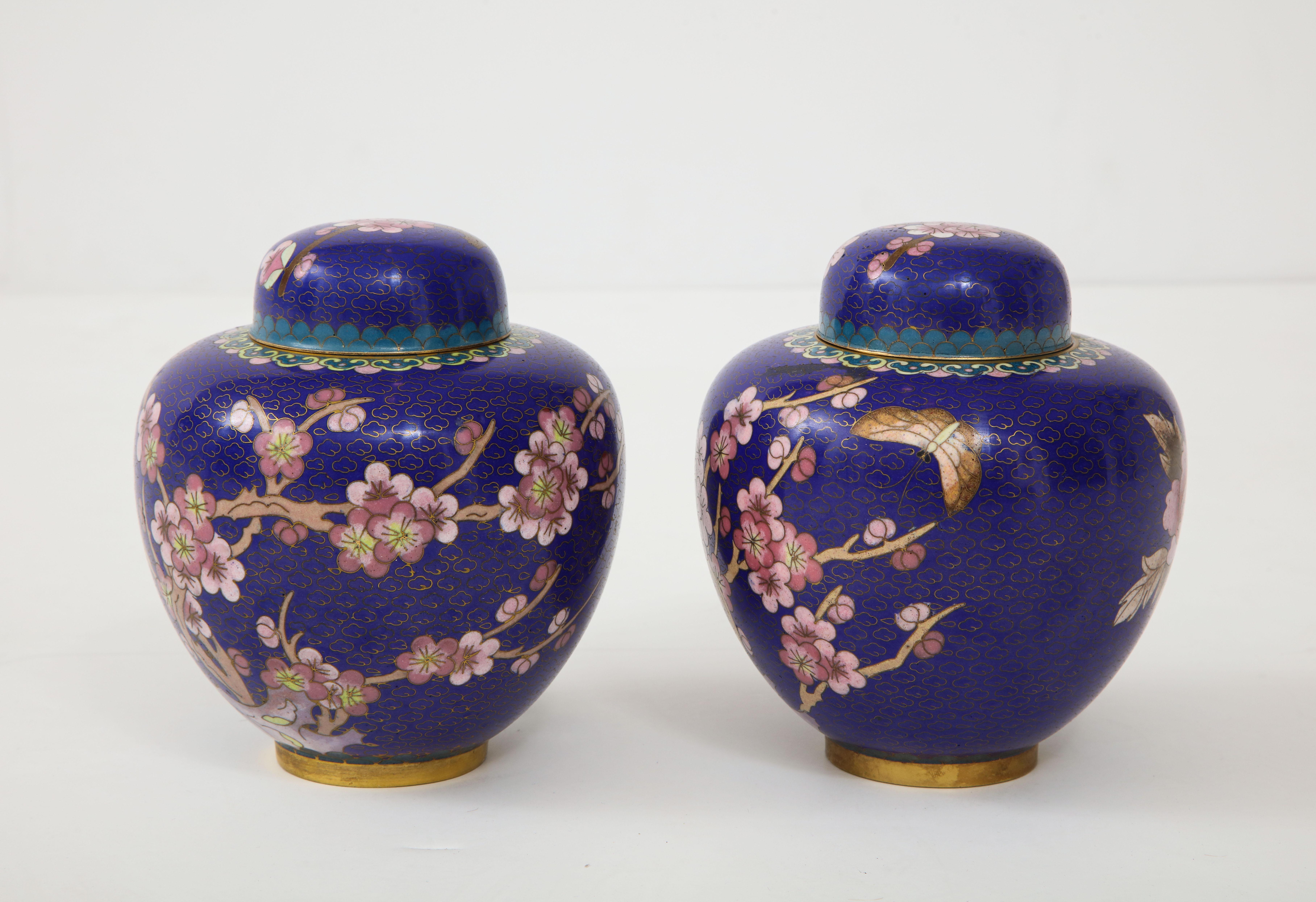 Chinese Pair of Cobalt Cloisonné Ginger Jars