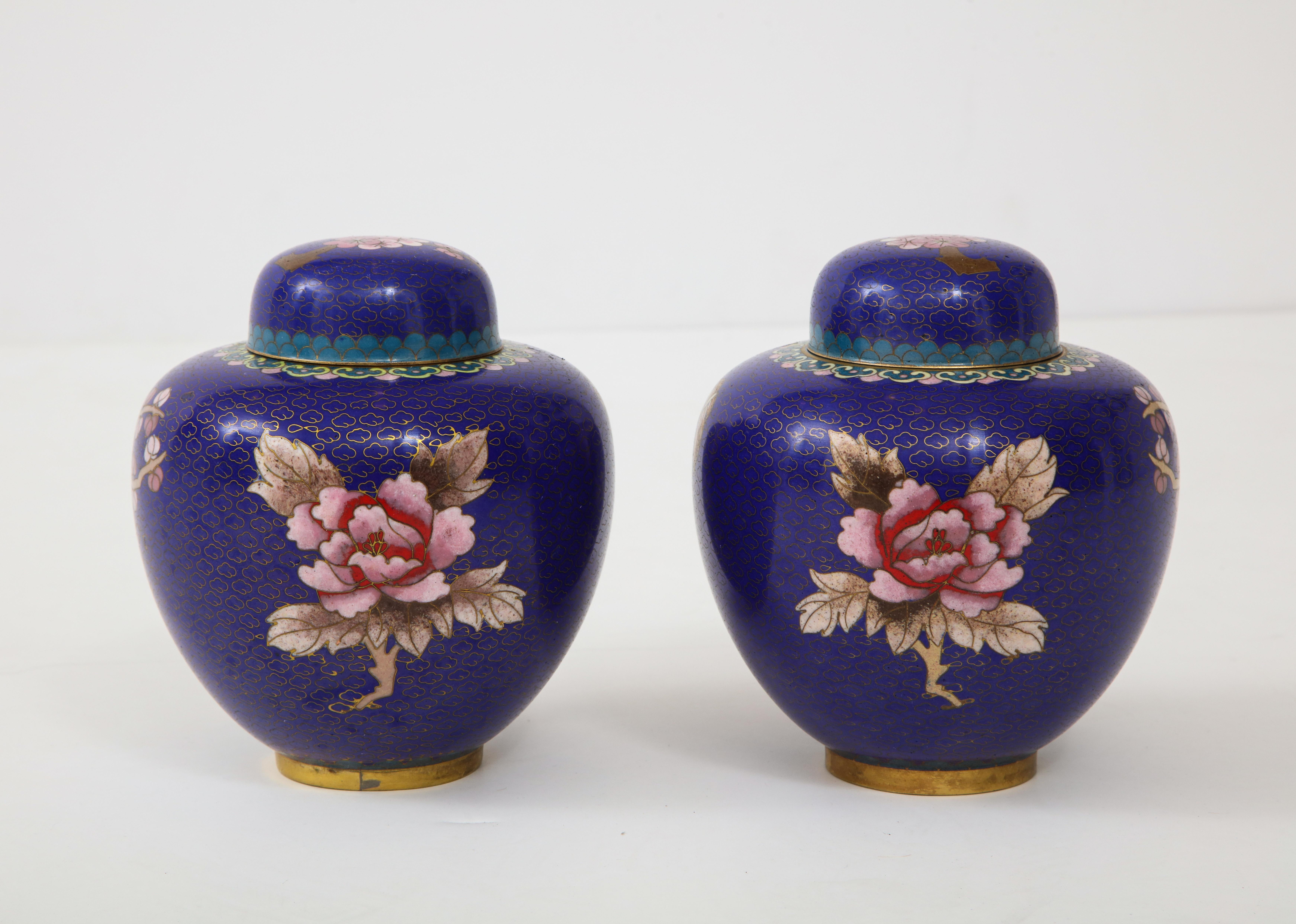 Pair of Cobalt Cloisonné Ginger Jars In Excellent Condition In New York, NY
