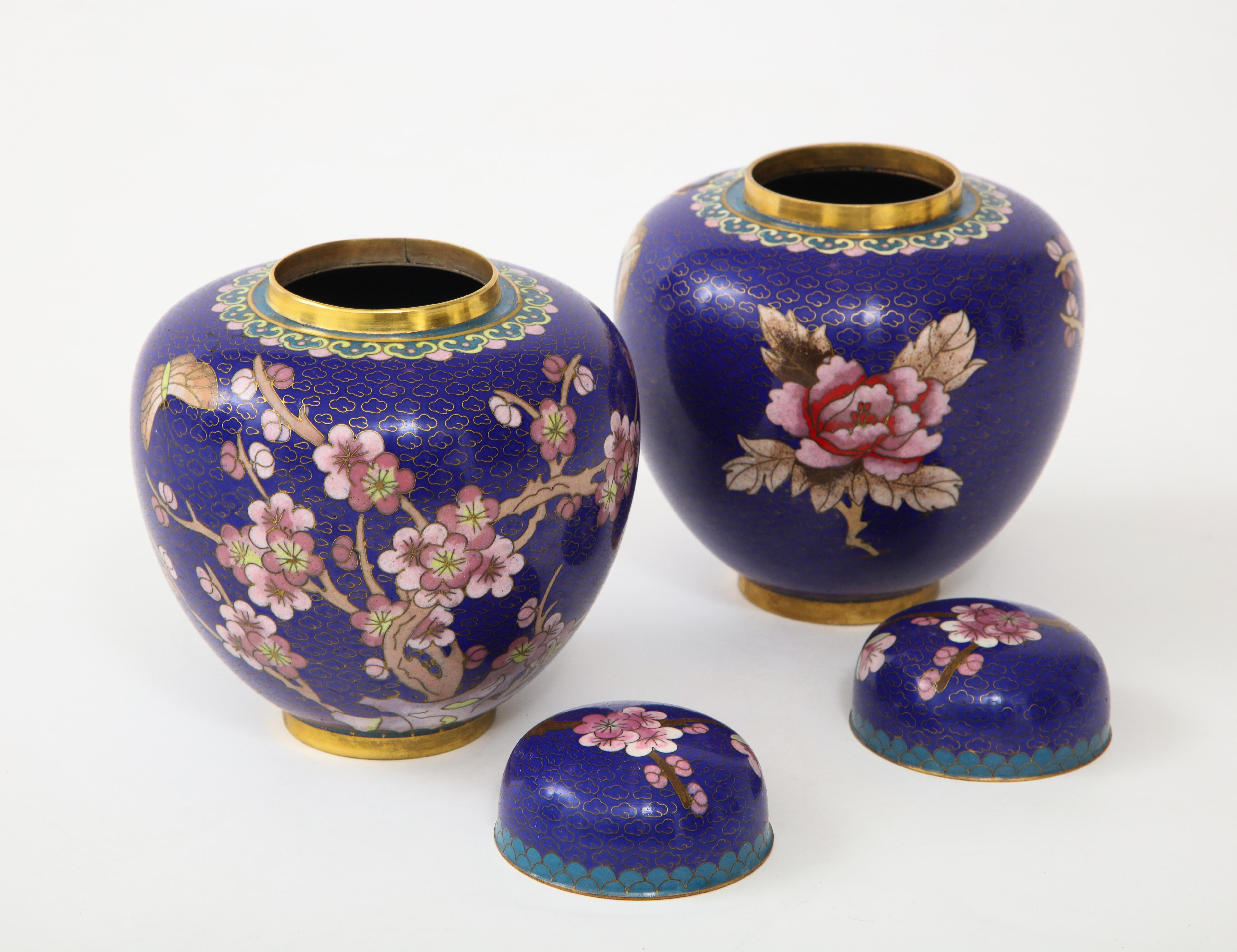 Pair of Cobalt Cloisonné Ginger Jars 1