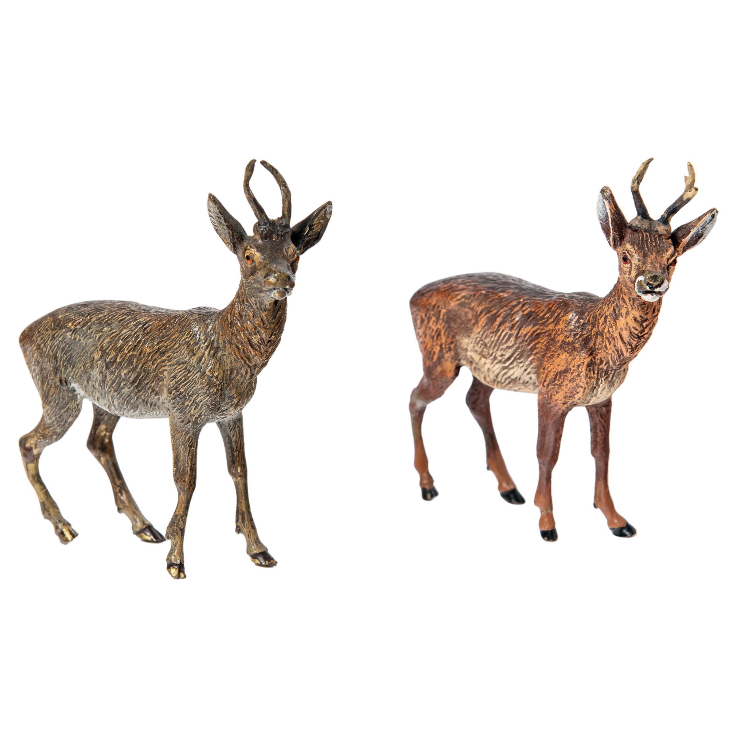 Pair of Cold-painted bronze deers sculpture attributed to Franz Bergmann For Sale