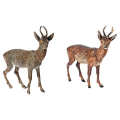 Antique Pair of Cold-painted bronze deers sculpture attributed to Franz Bergmann