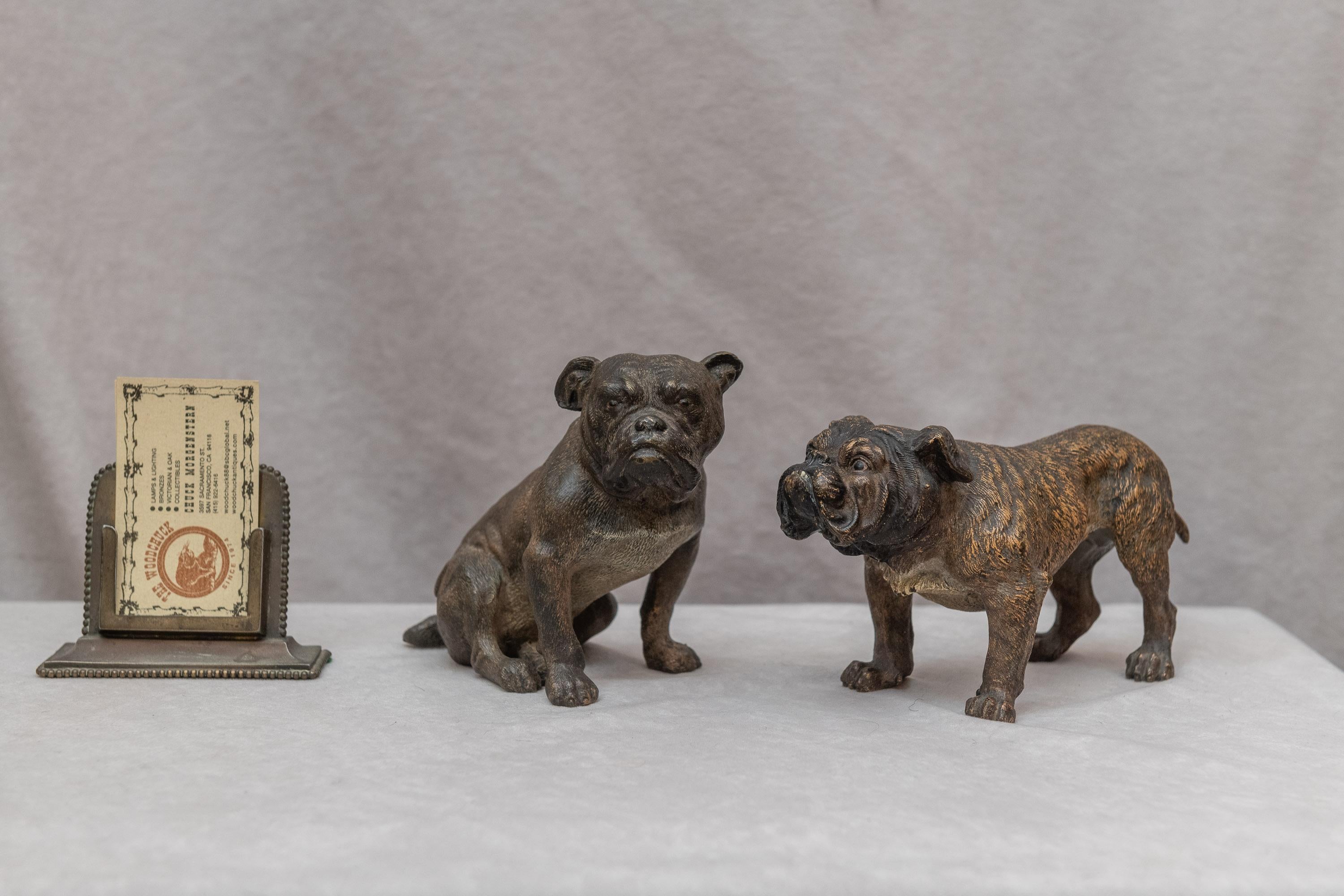 These are not the little examples of Vienna bronze bulldogs that you frequently see. These are both cold painted, also unusual and so much bigger than most. The seated one is a very rare model and is signed with the Franz Bergmann seal. The cold