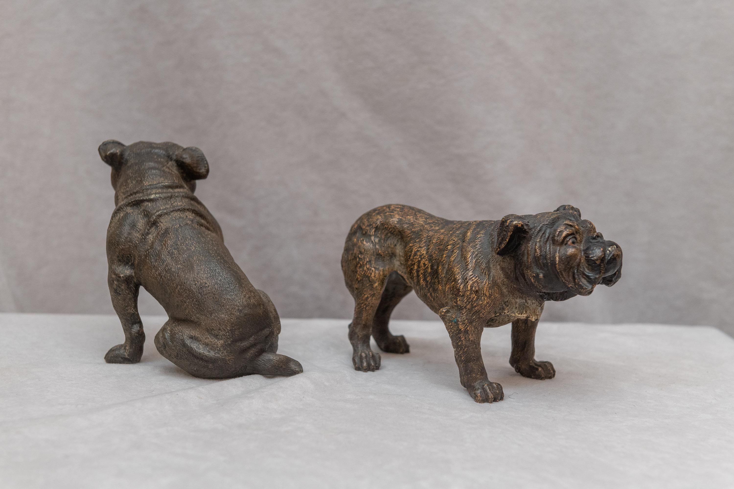 bergman bronze bulldog