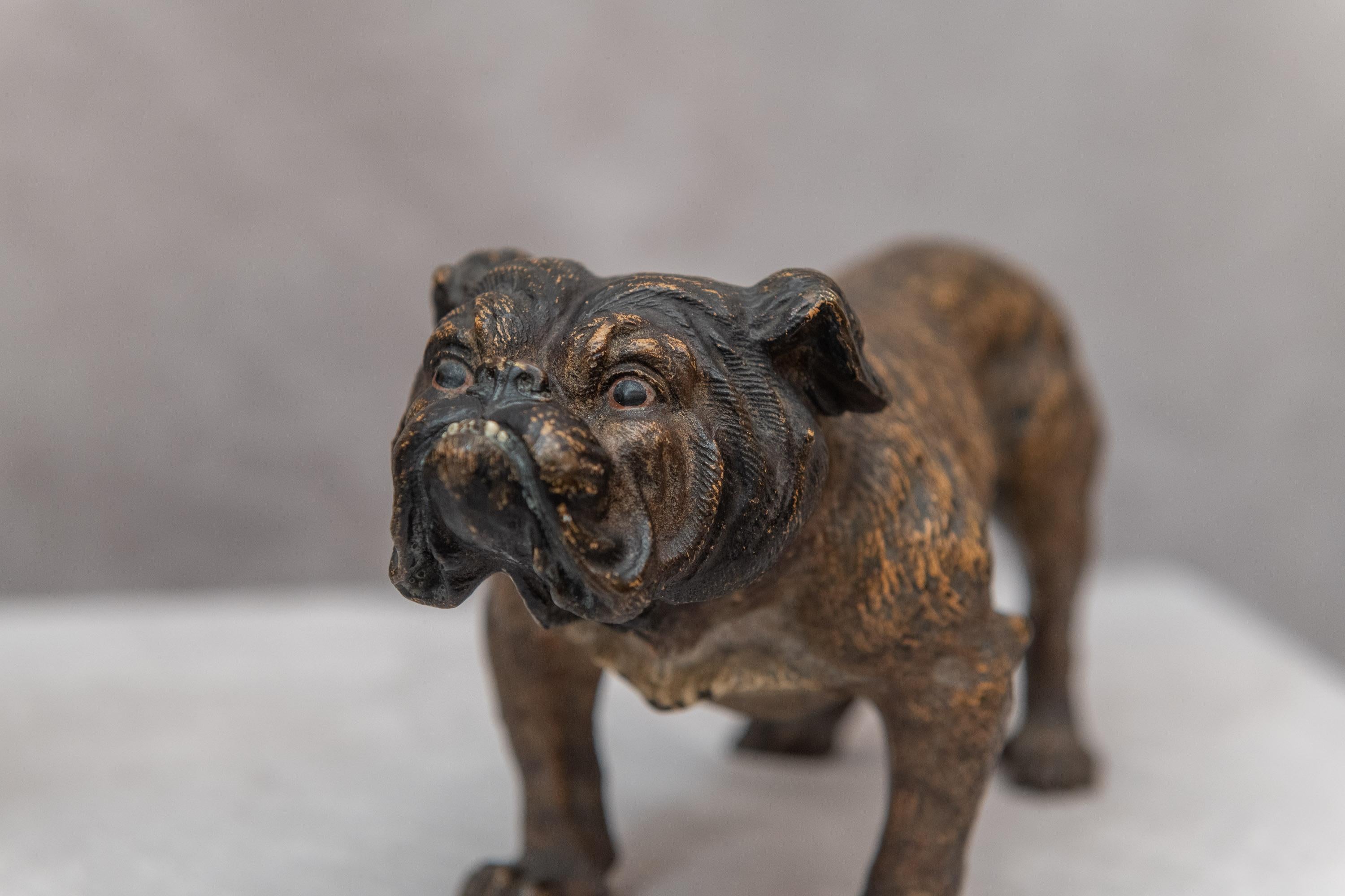 Beaux Arts Pair of Cold Painted Vienna Bronze Bulldogs