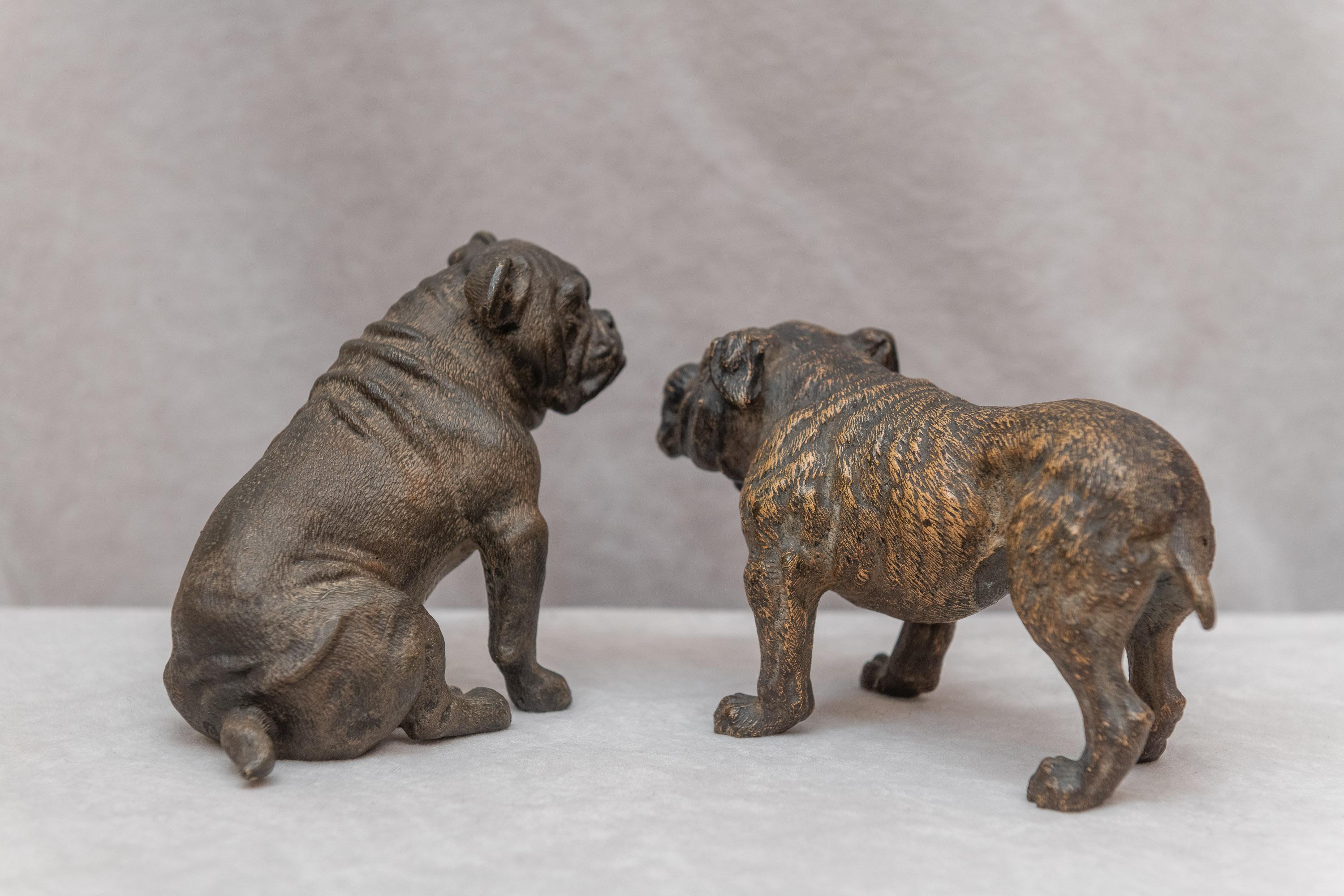 Austrian Pair of Cold Painted Vienna Bronze Bulldogs