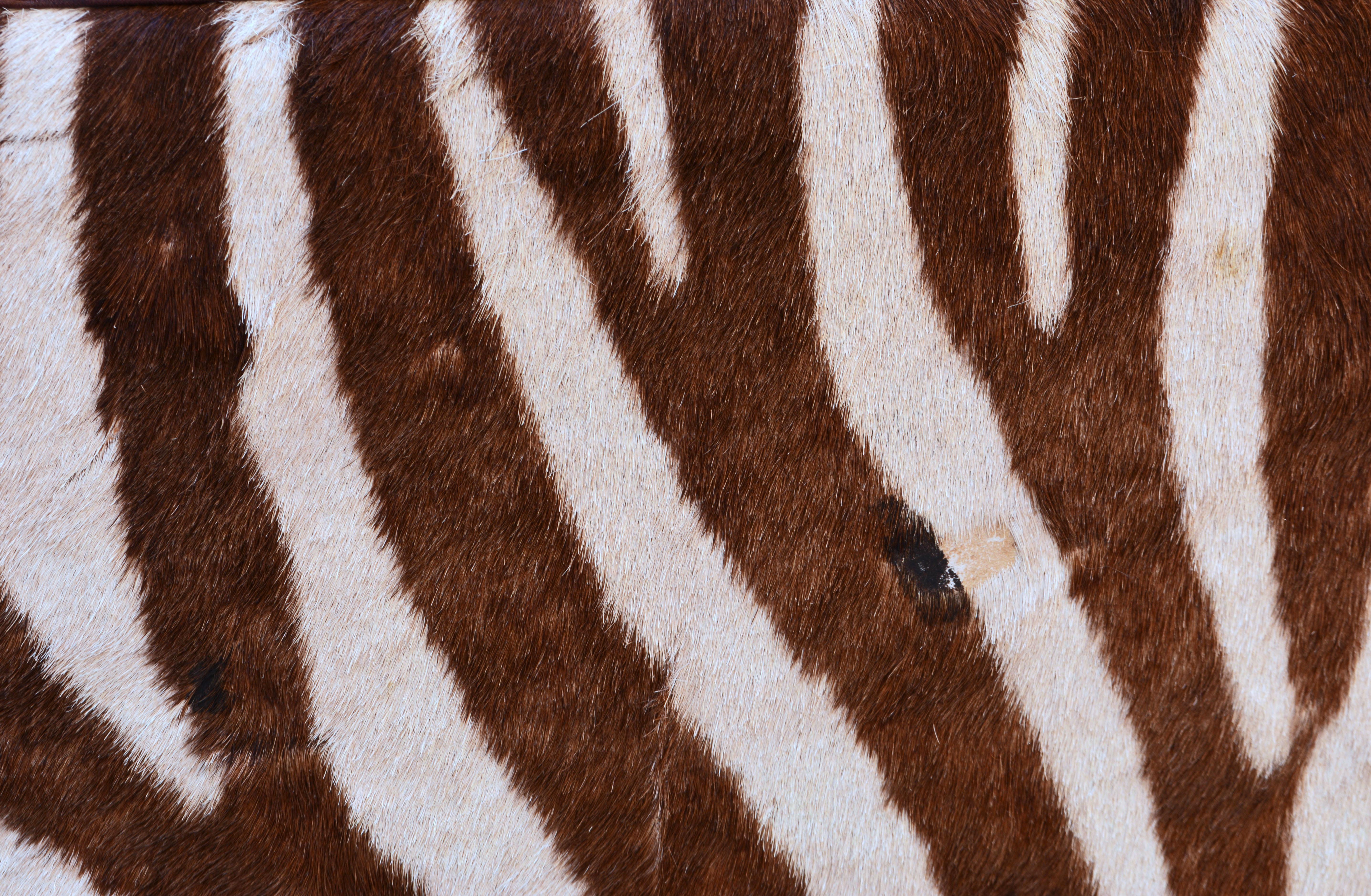 Pair of Colonial Style Deco Inspired Zebra Leather and Mahogany Club Chairs 6