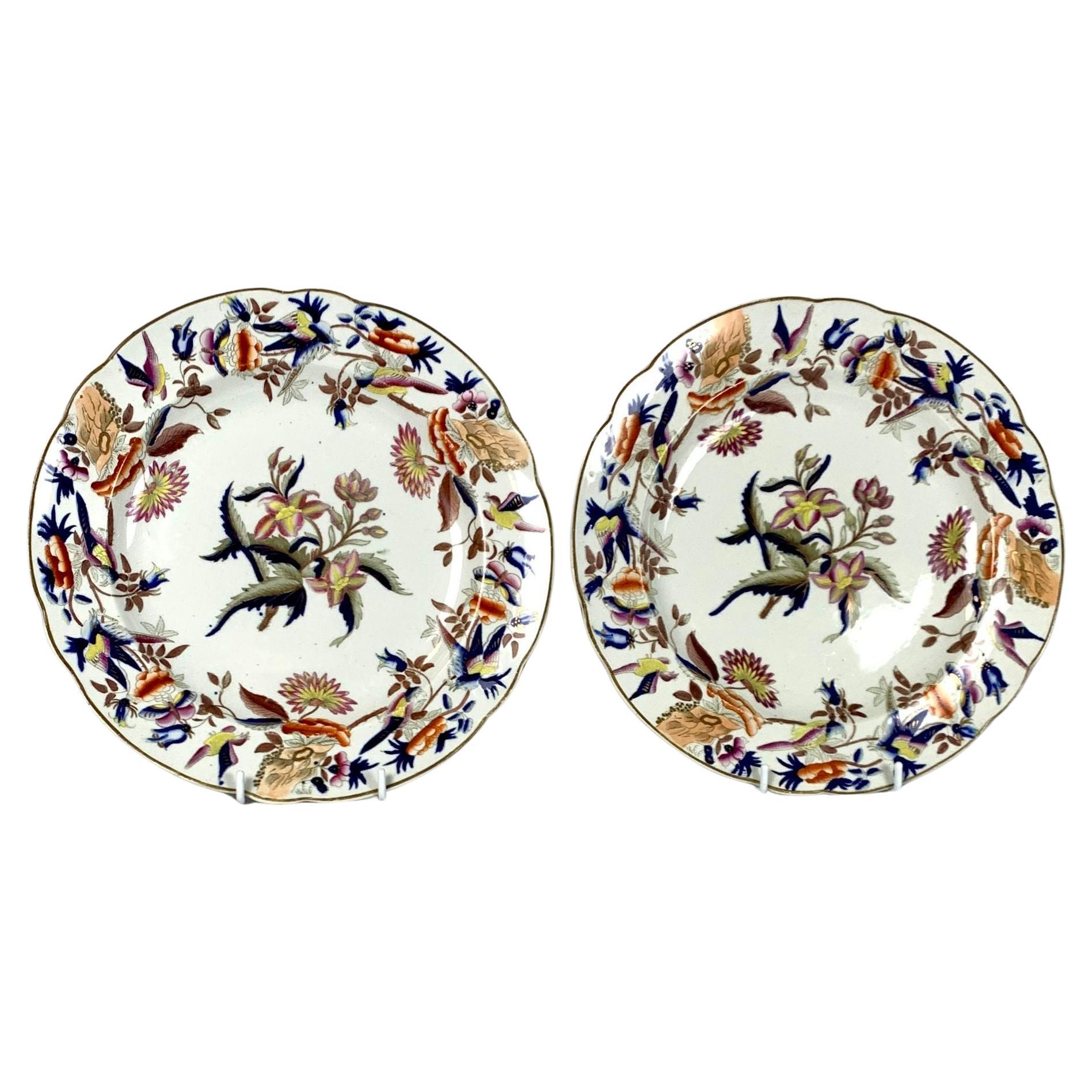 Pair of Colorful Ironstone Plates "Late Spode" England Circa 1835 For Sale