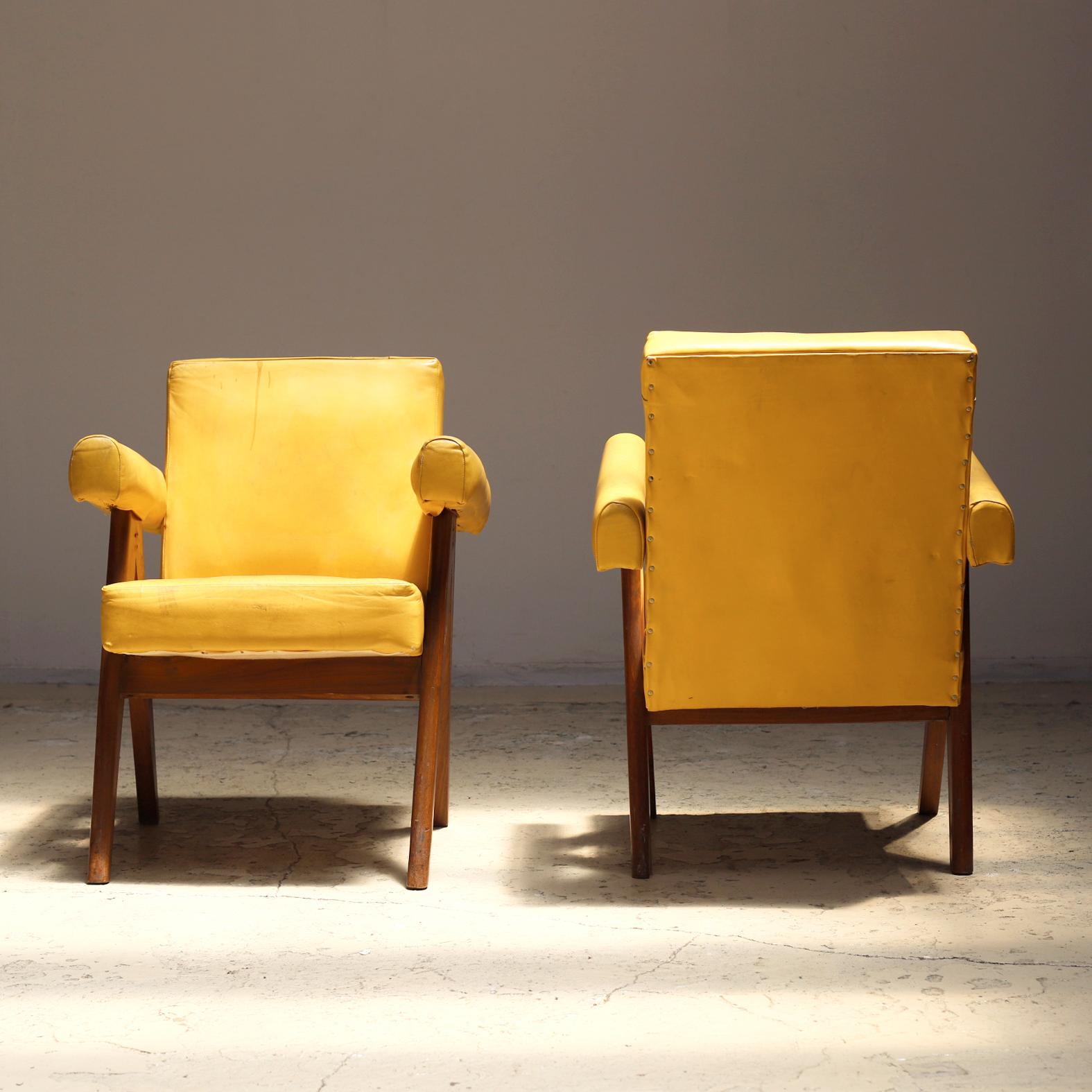 Mid-Century Modern Pair of Committee Chair by Pierre Jeanneret