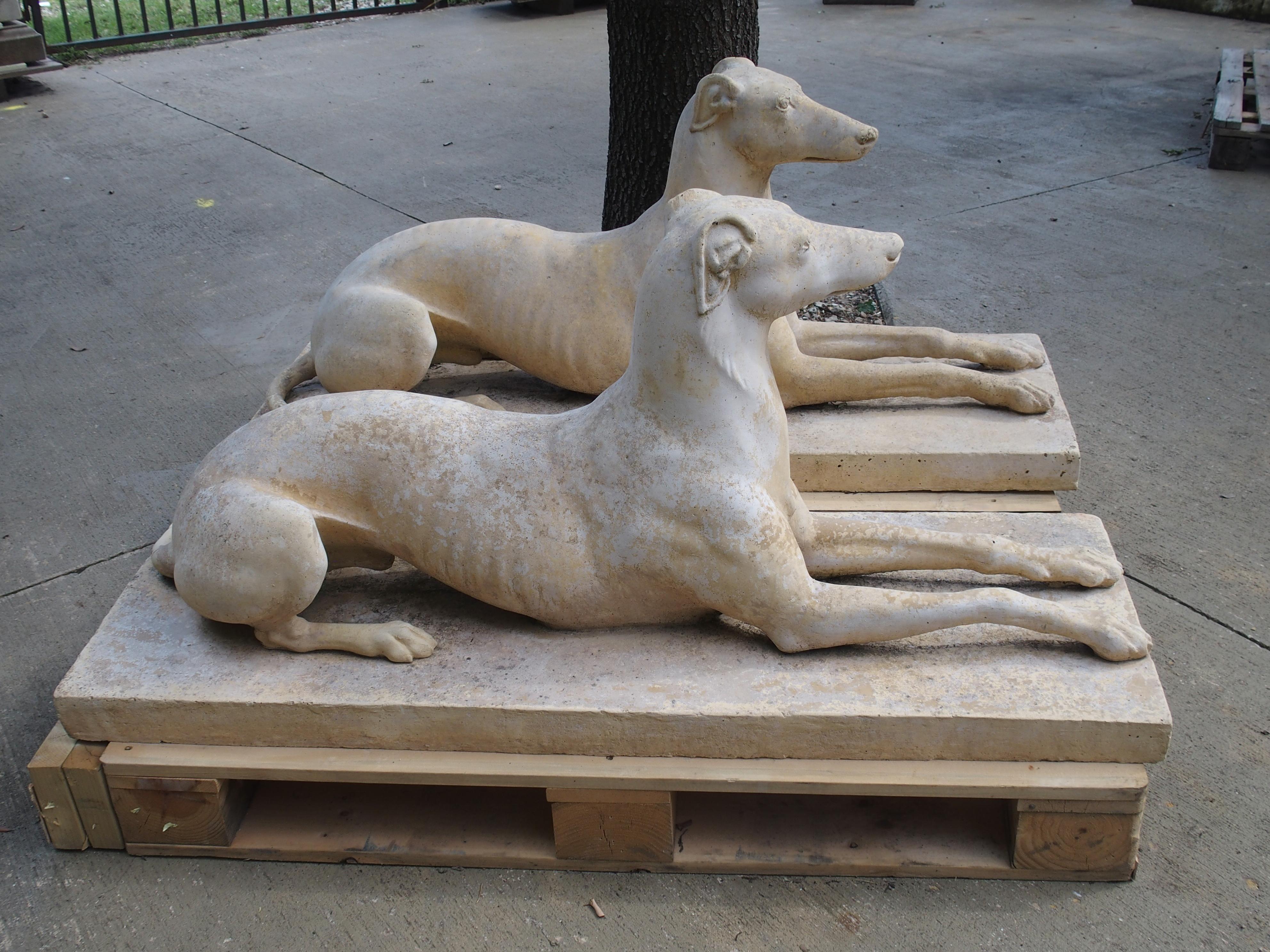 Pair of Composite Stone Greyhounds from England 4